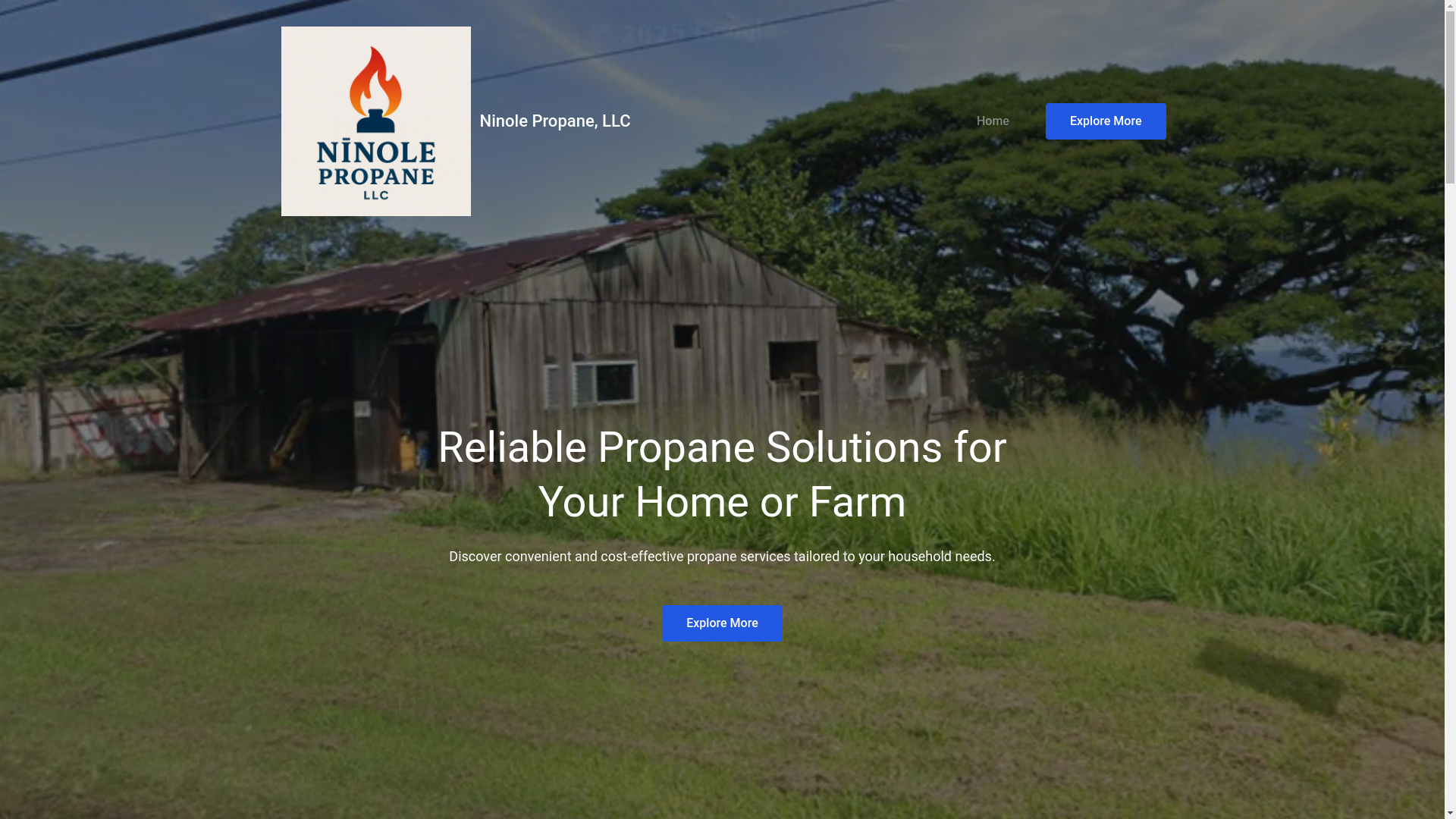 website screenshot of https://ninolepropane.com/