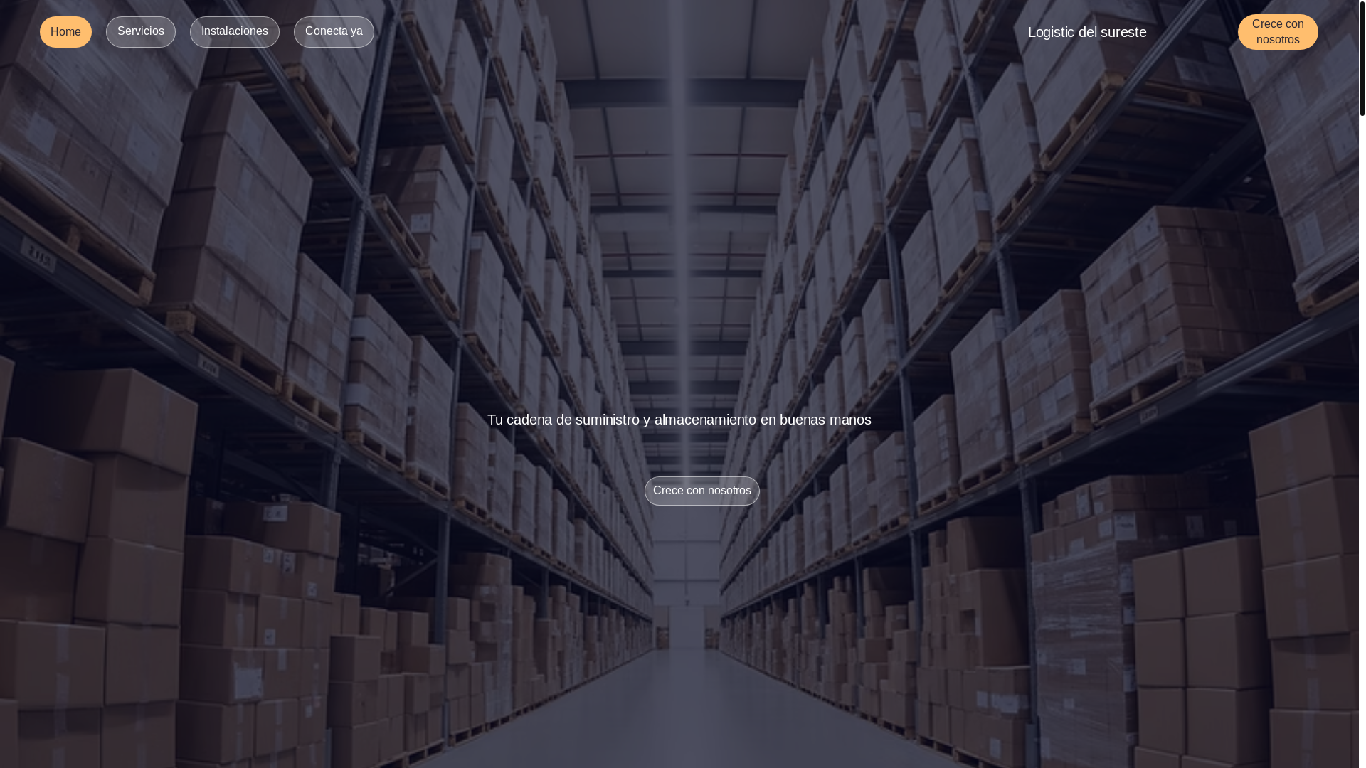 website screenshot of https://logisticdelsureste.net/