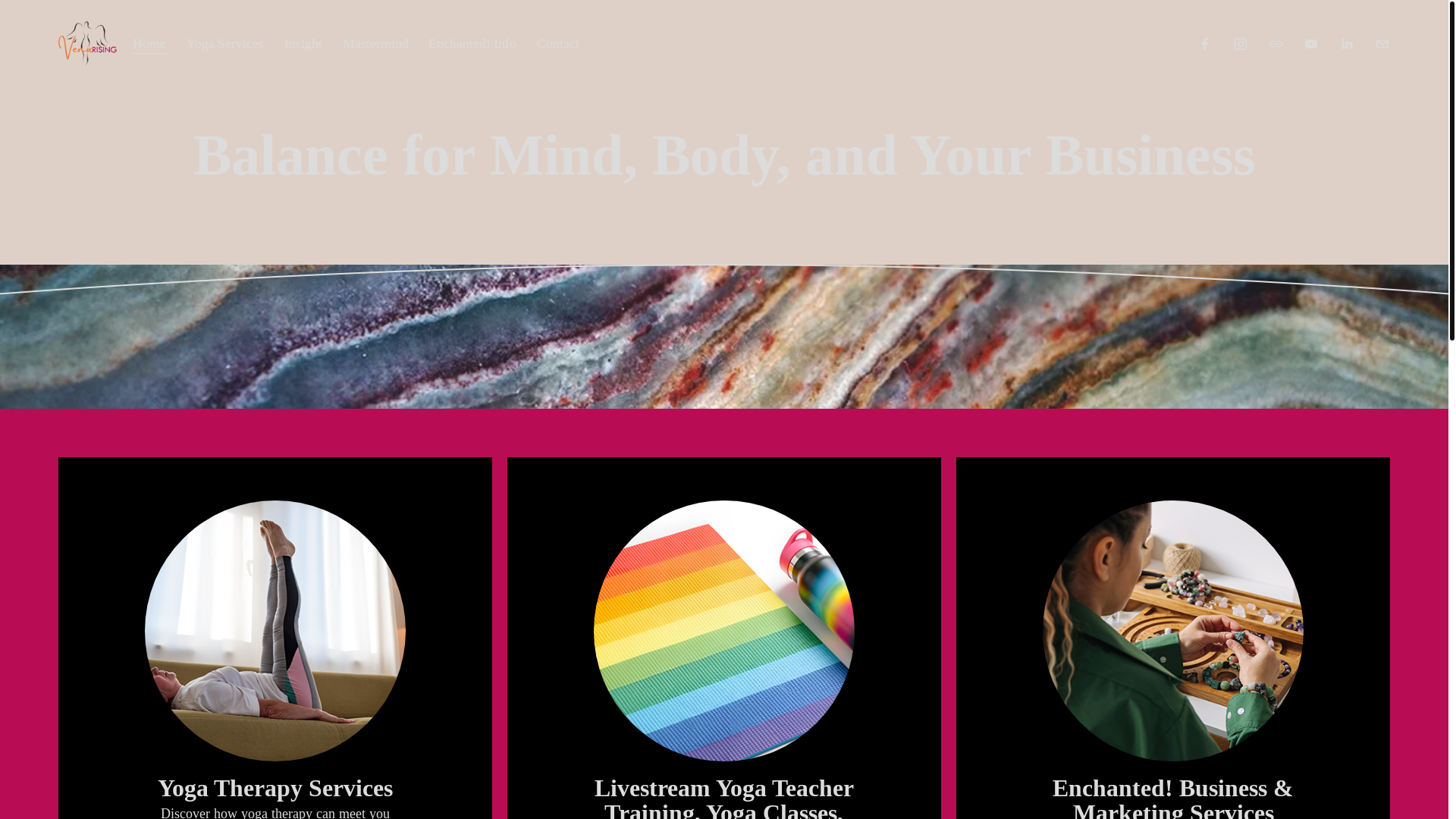 website screenshot of https://www.venixrising.com/