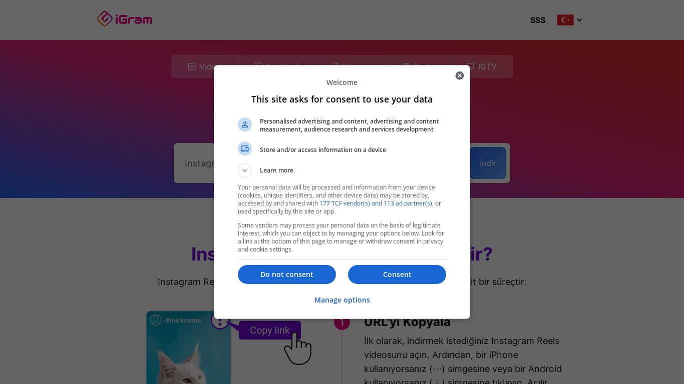 website screenshot of https://igram.world/tr/reels-downloader