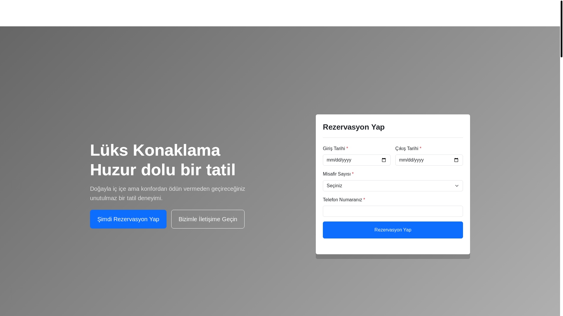 website screenshot of https://hektorbungalov.com/