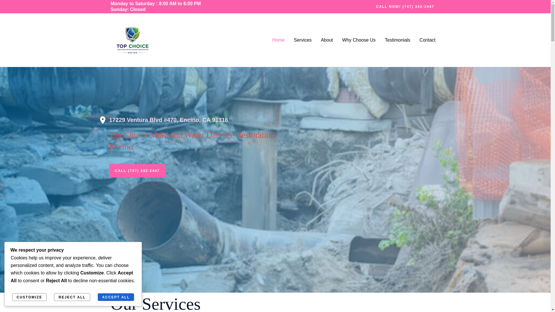 website screenshot of https://topchoicemoldandwaterdamagerestorationencino.com/