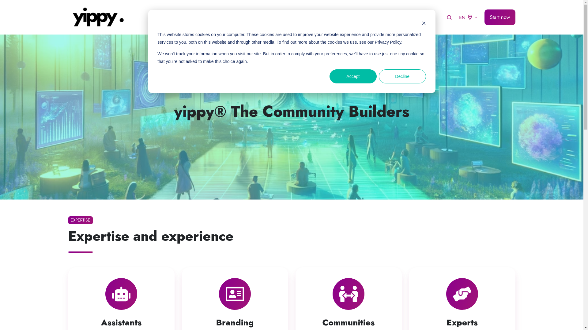 website screenshot of https://yippy.team/