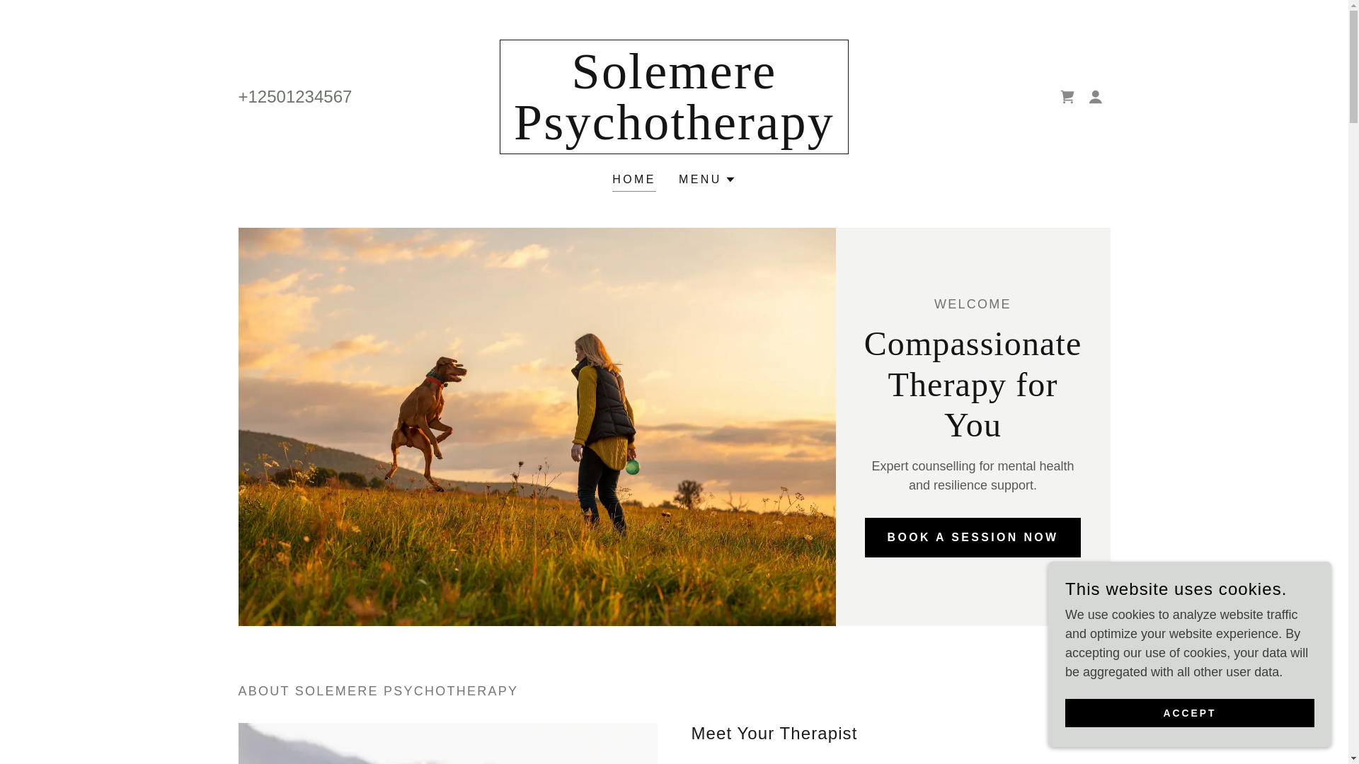 website screenshot of https://solemere.com/