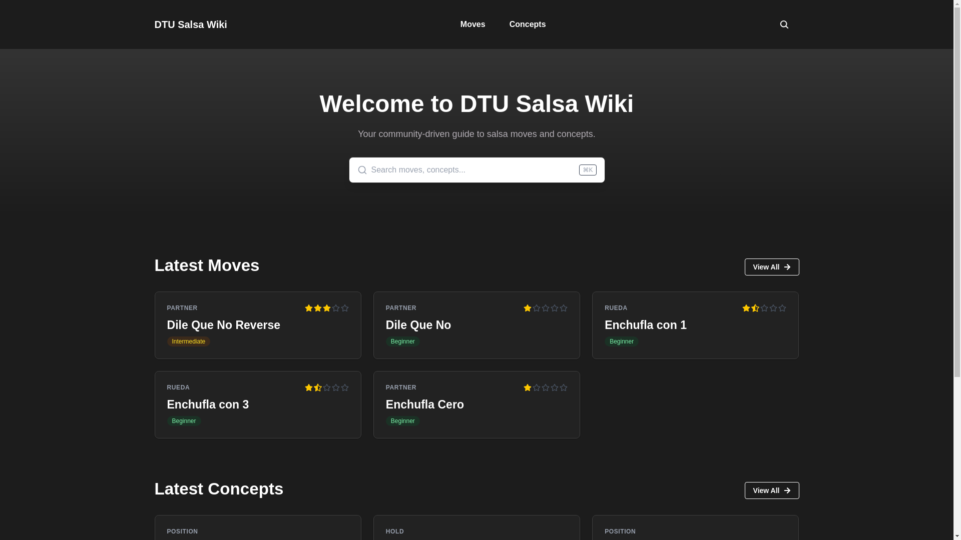 website screenshot of https://dtu-salsa-wiki.netlify.app/