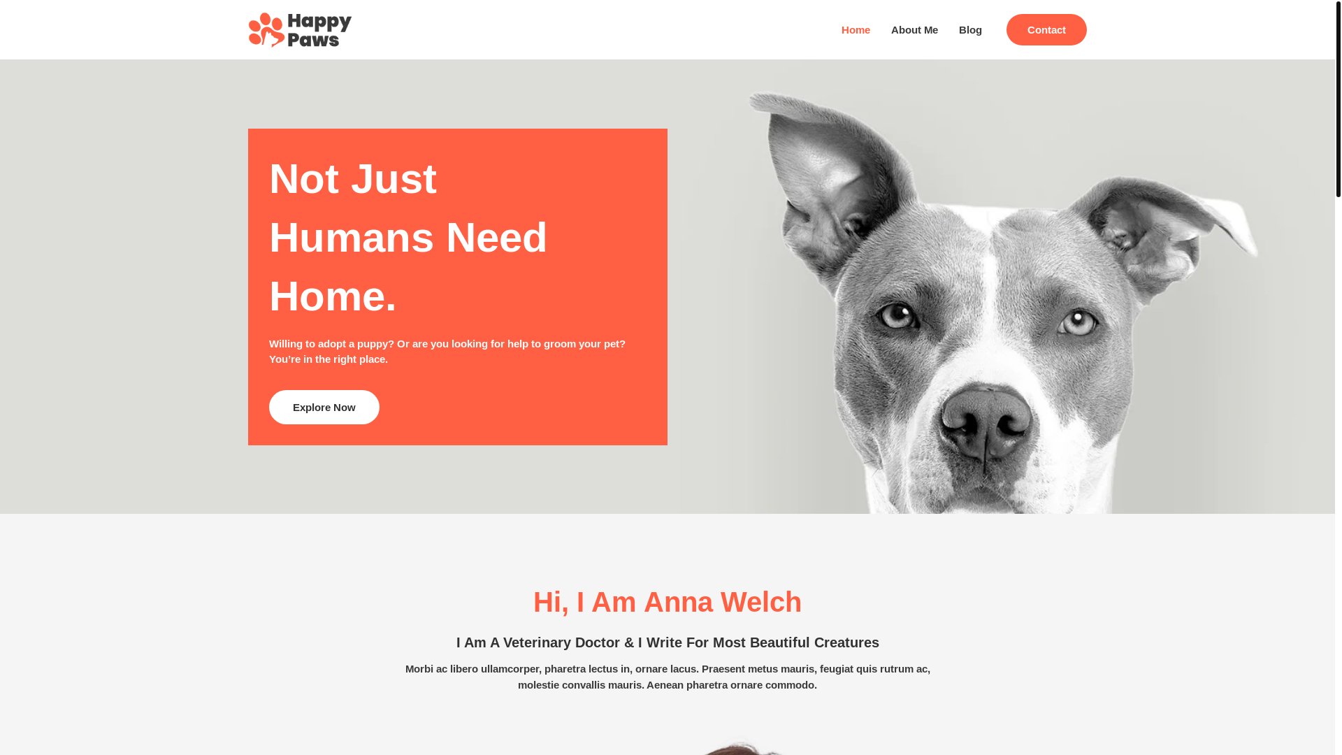 website screenshot of https://vivianemvet.com.br/