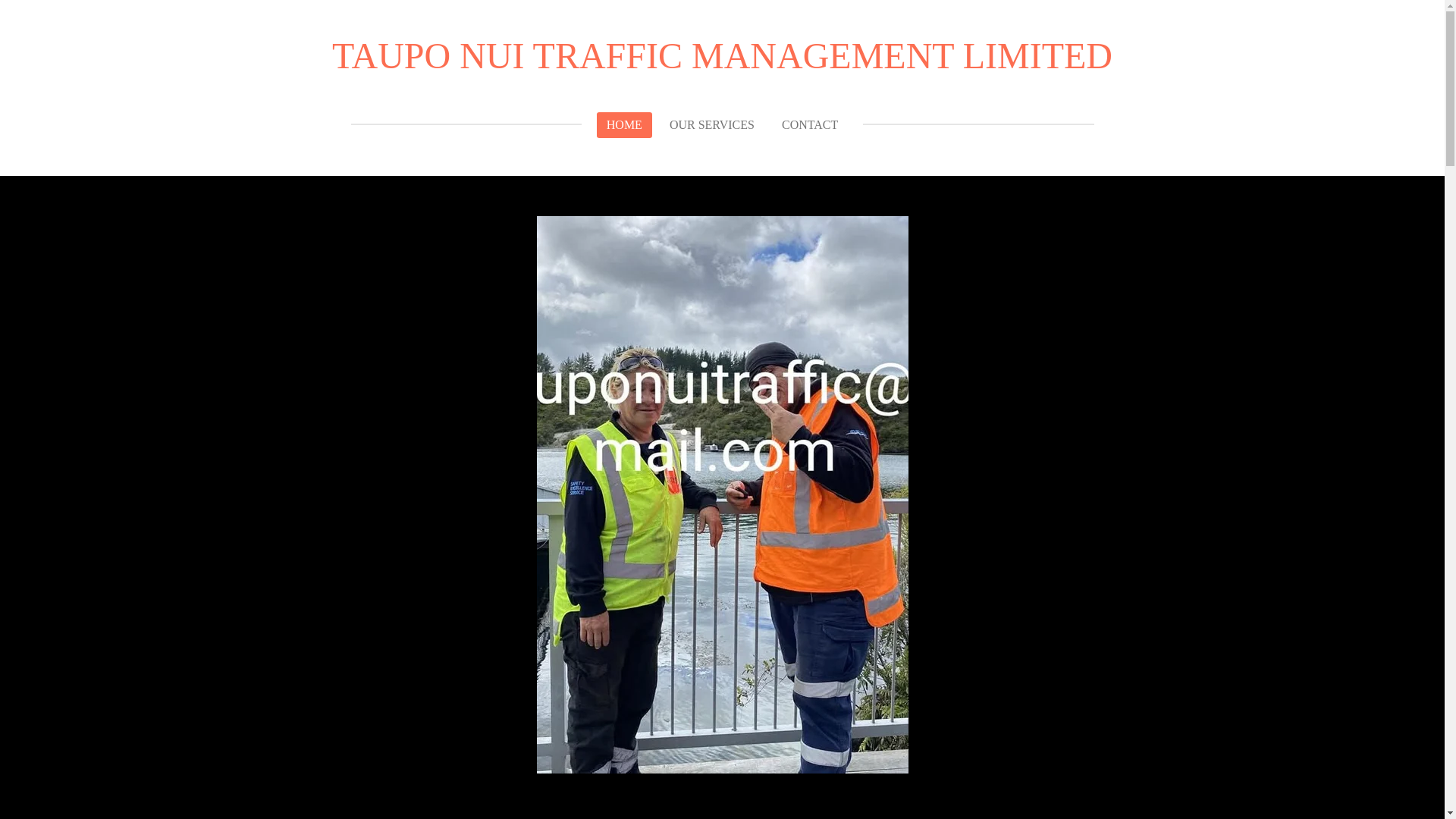 website screenshot of https://tauponuitrafficmanagementlimited.com/