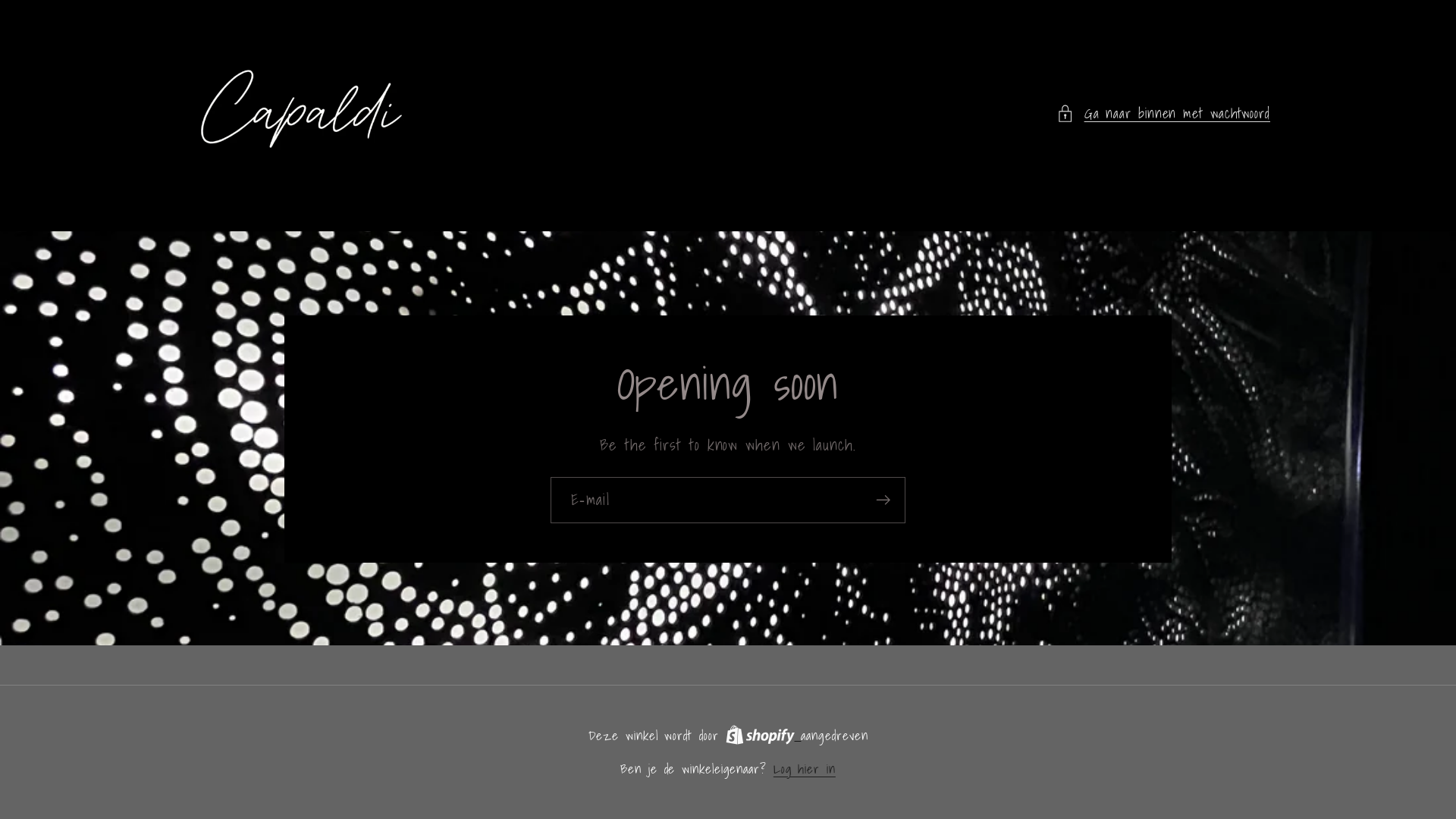 website screenshot of https://capaldiart.com/