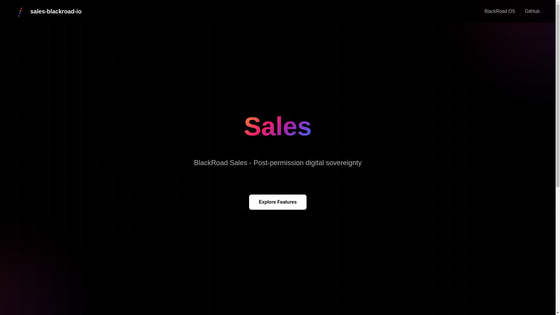 website screenshot of https://sales-blackroad-io.pages.dev/