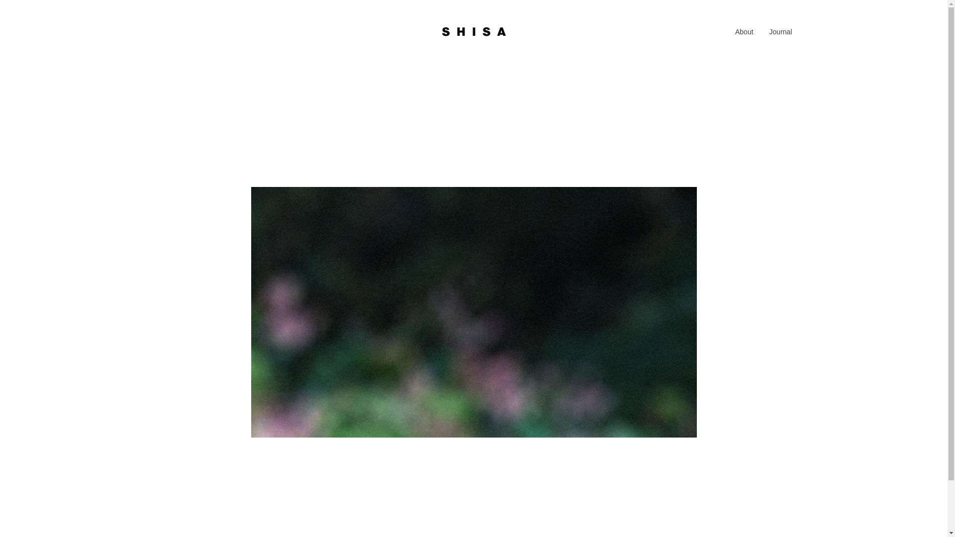 website screenshot of https://shisa.ch/