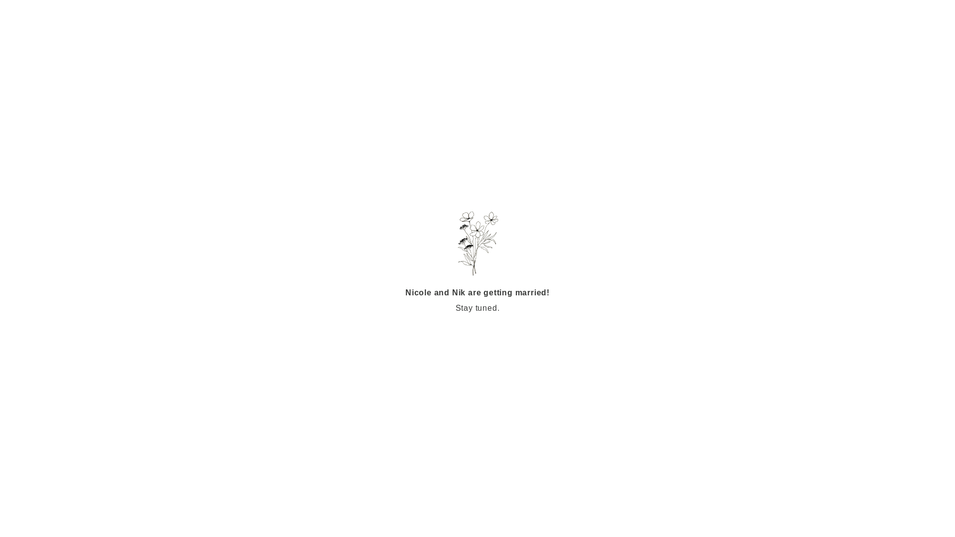 website screenshot of https://nicoleandnik.com/