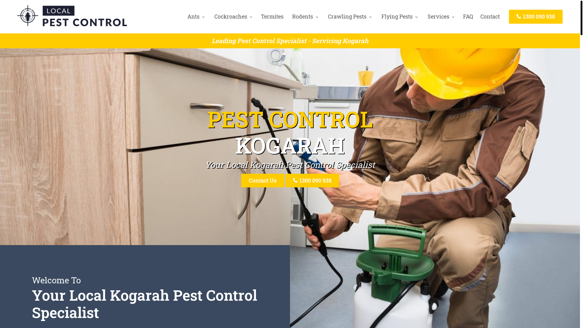 website screenshot of https://pestcontrolkogarah-net-au.pages.dev/