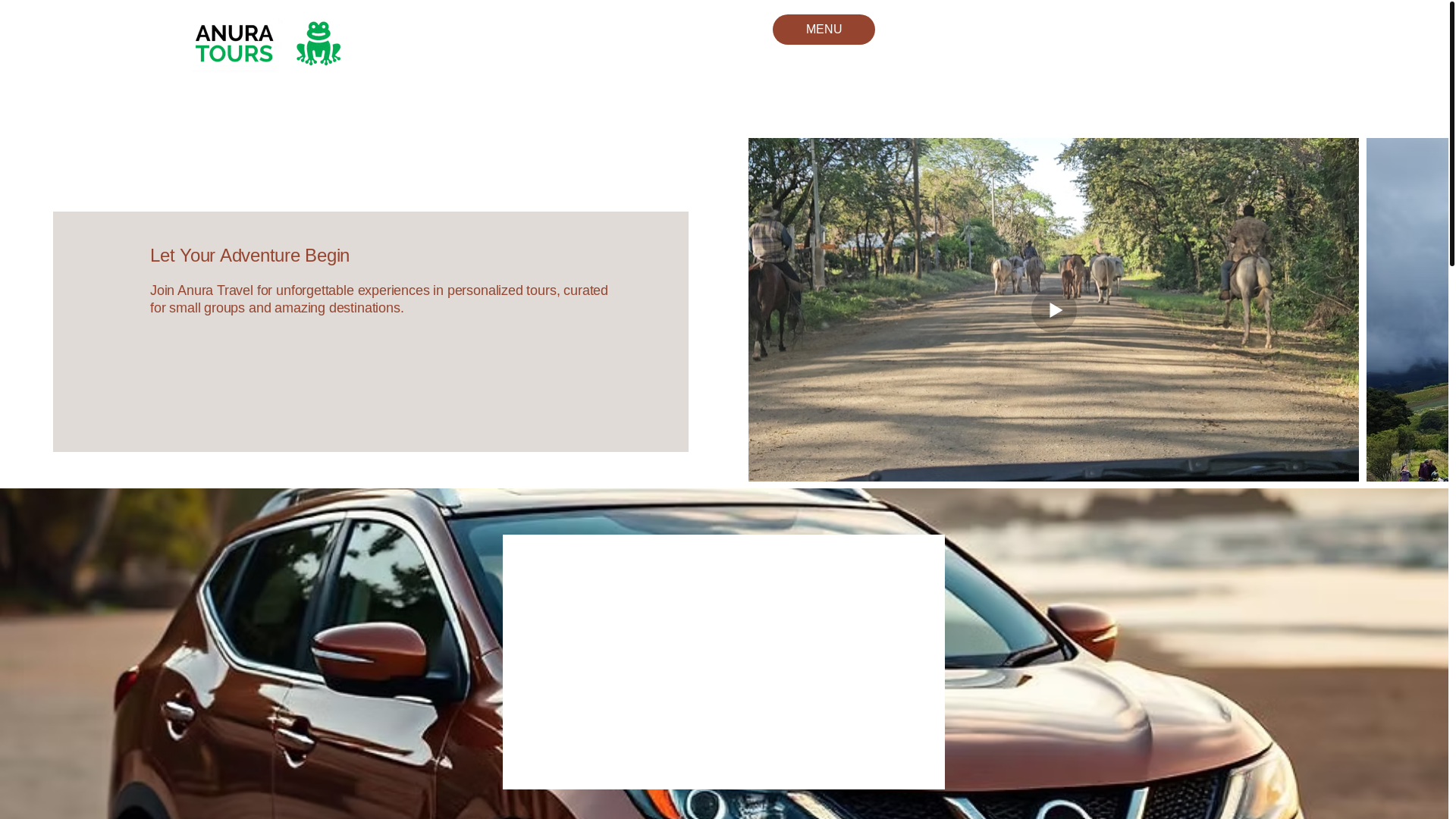 website screenshot of https://anura.tours/