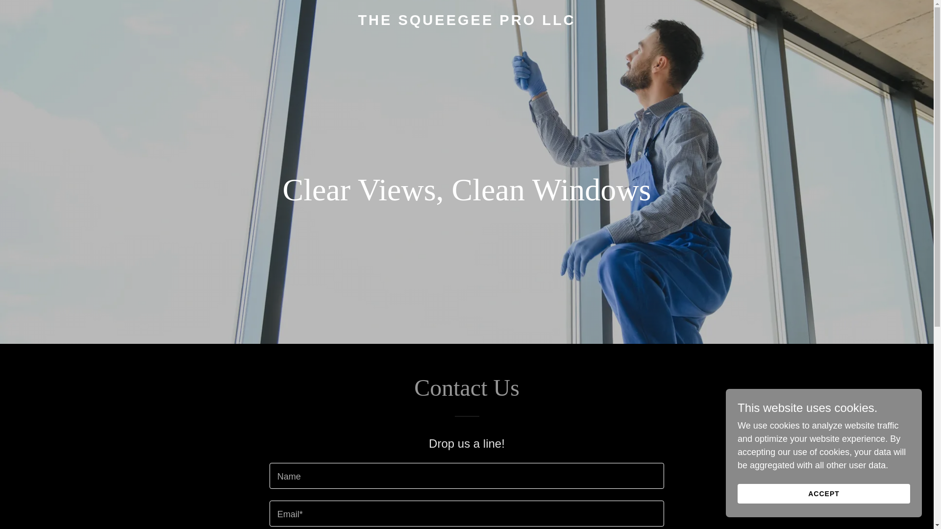 website screenshot of https://thesqueegeeprollc.net/