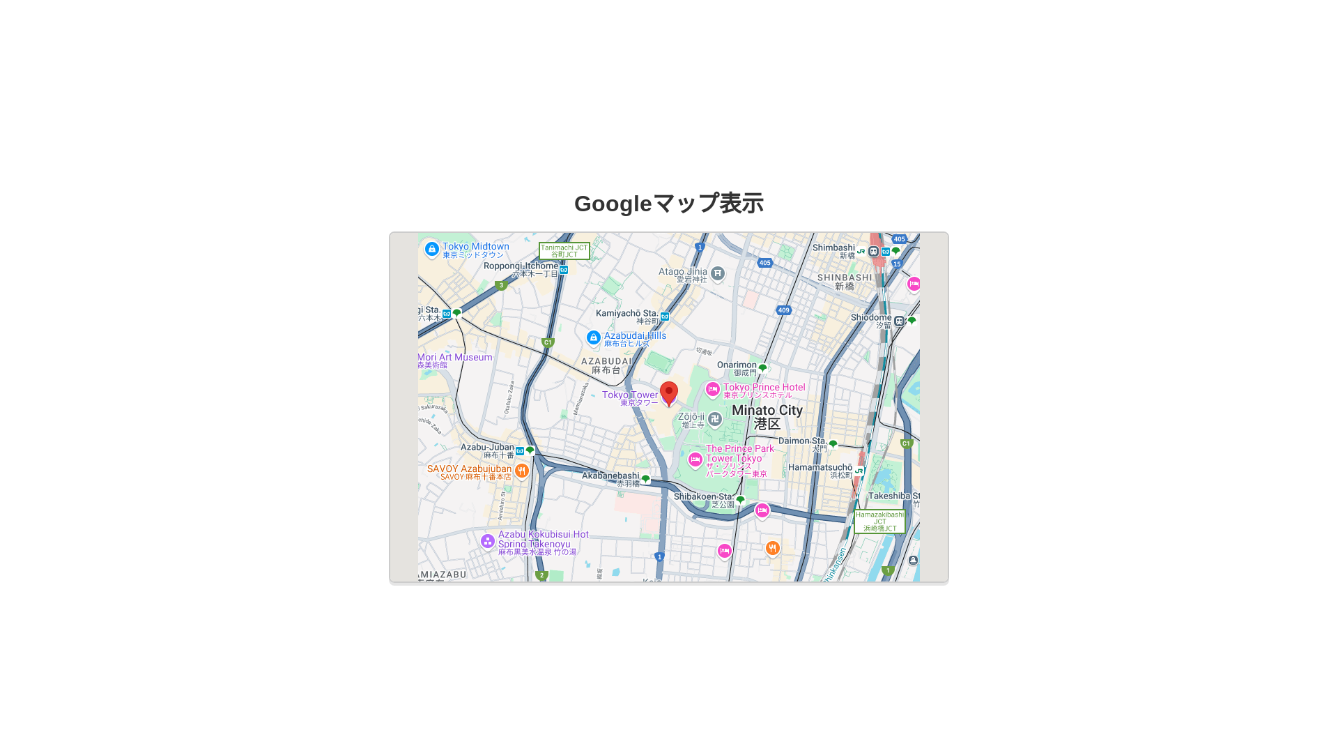 website screenshot of https://google-map-display-site.pages.dev/