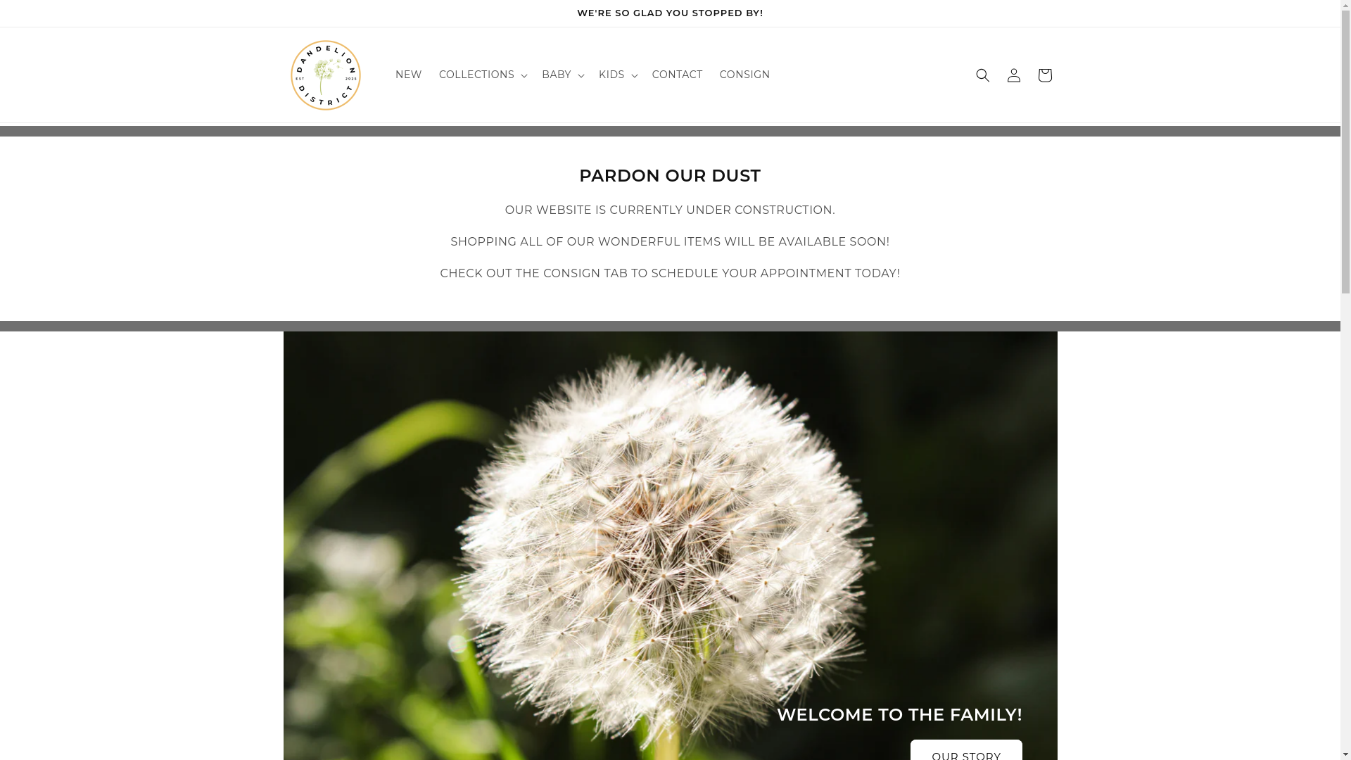 website screenshot of https://downtowndandelion.com/