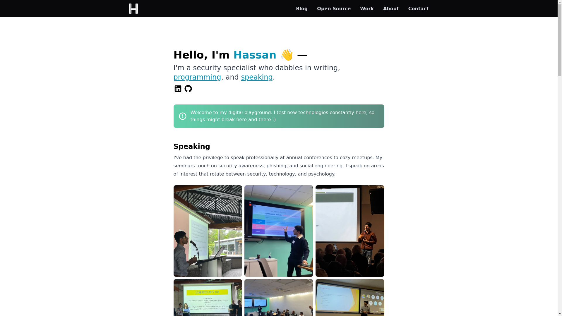 website screenshot of https://hassananees.pages.dev/