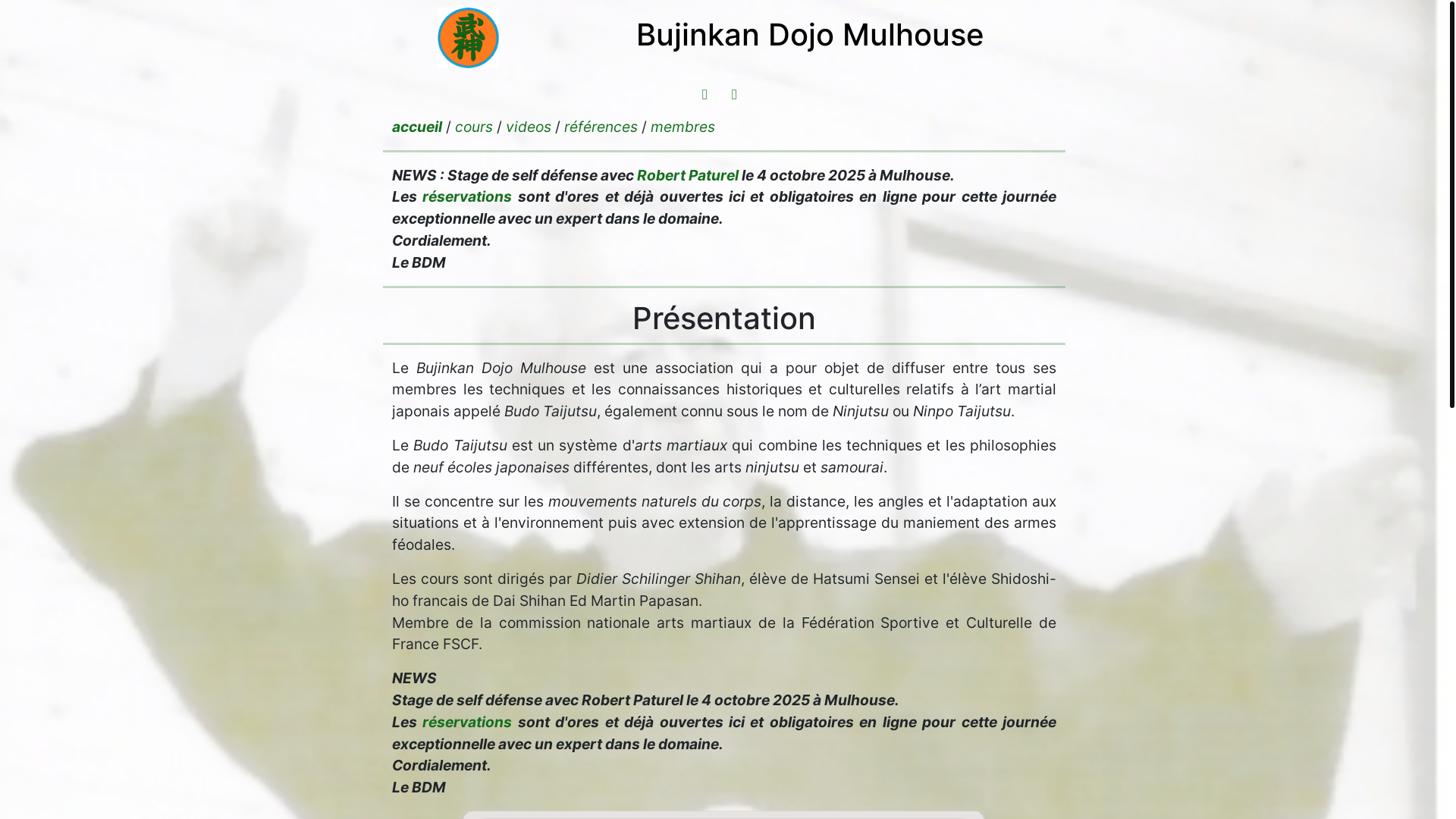 website screenshot of https://bujinkan-dojo-mulhouse.fr/