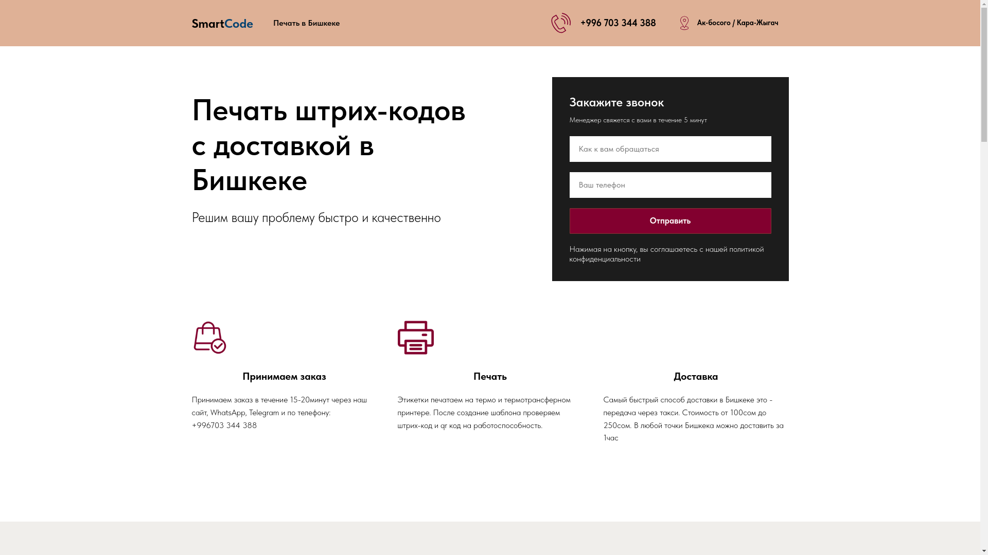 website screenshot of https://smartcode.kg/