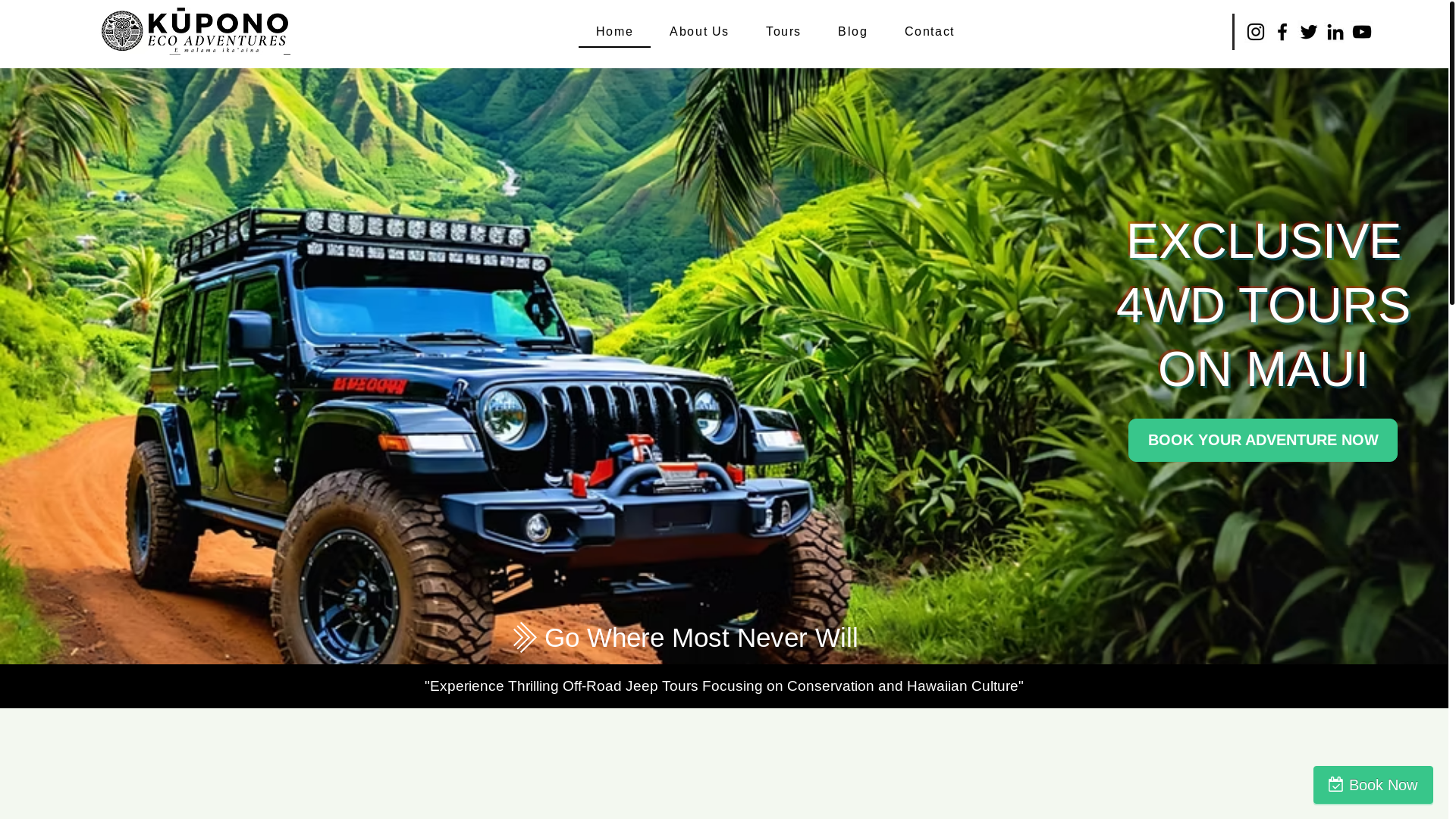 website screenshot of https://kuponoecoadventures.com/