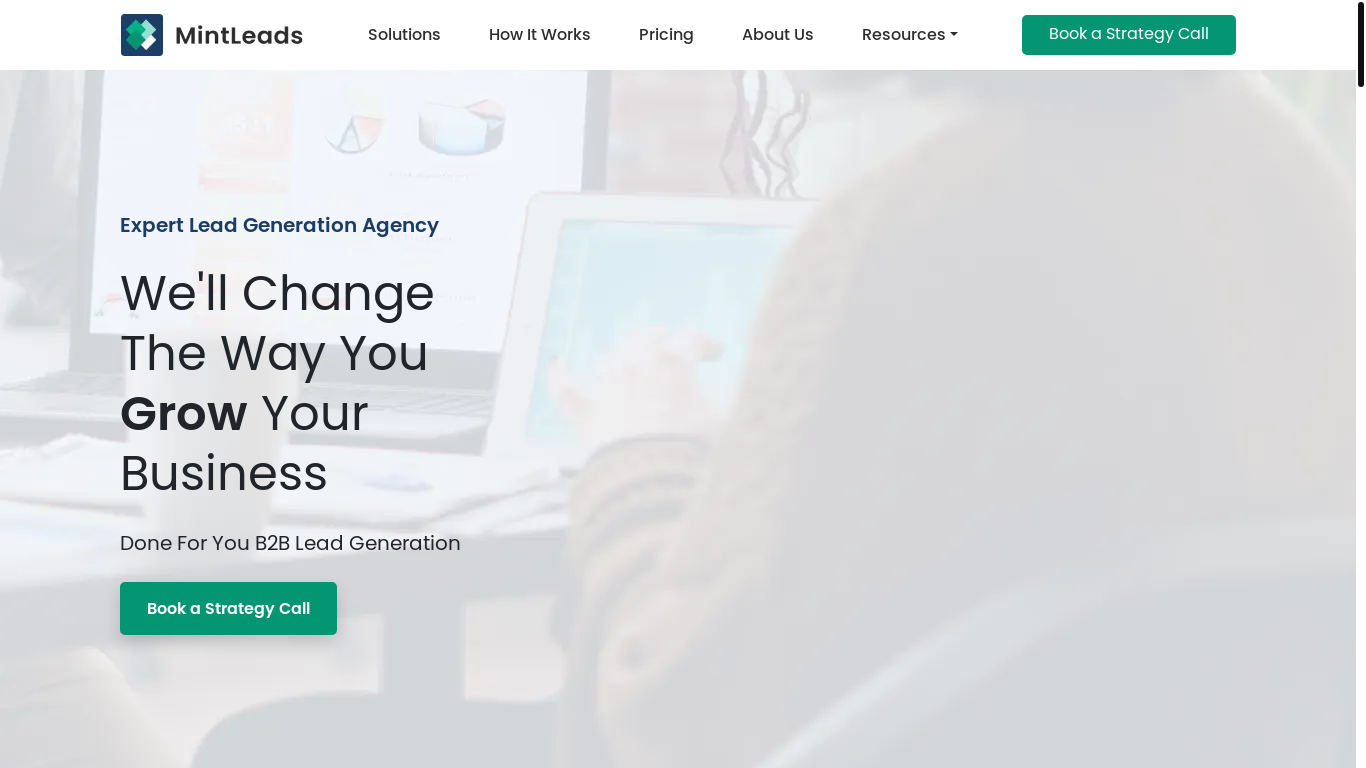 website screenshot of https://mailmintleadsbrands.com/