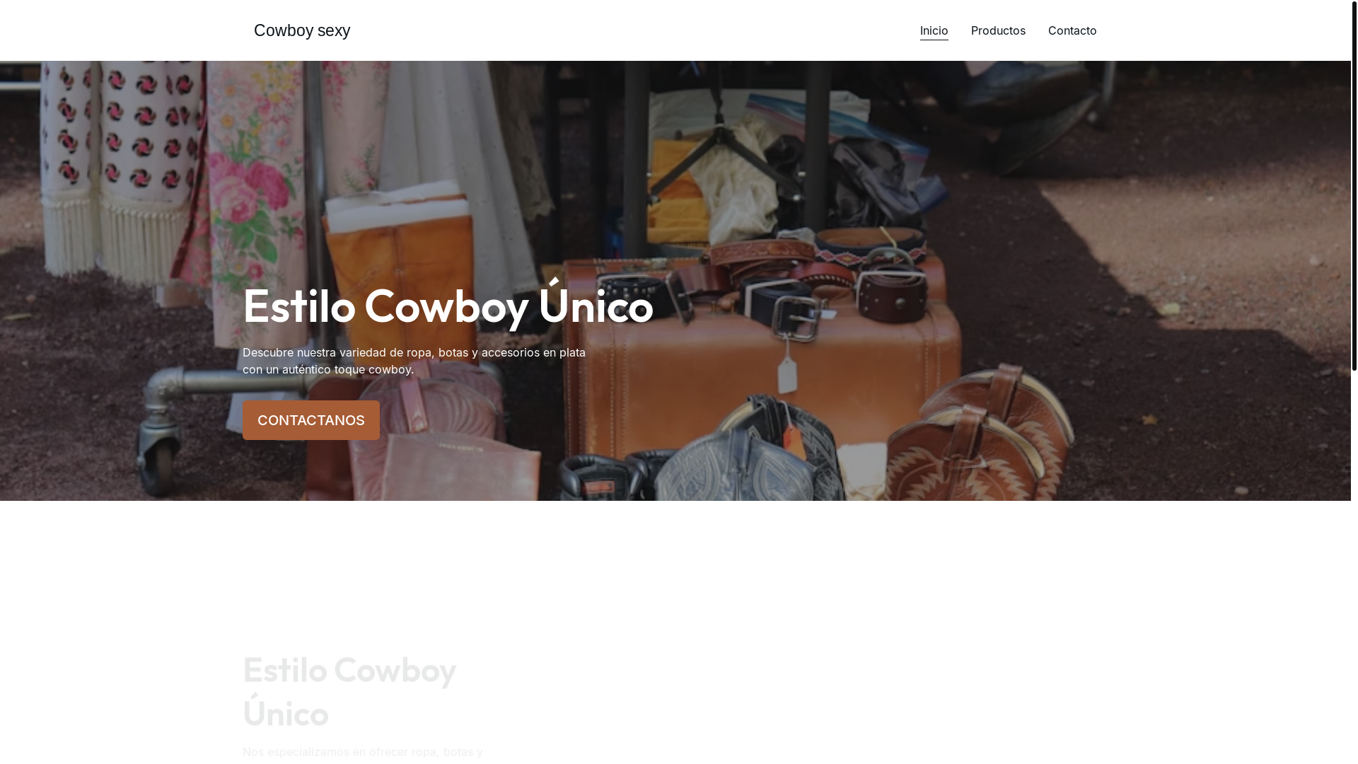 website screenshot of https://cowboysexy.com/