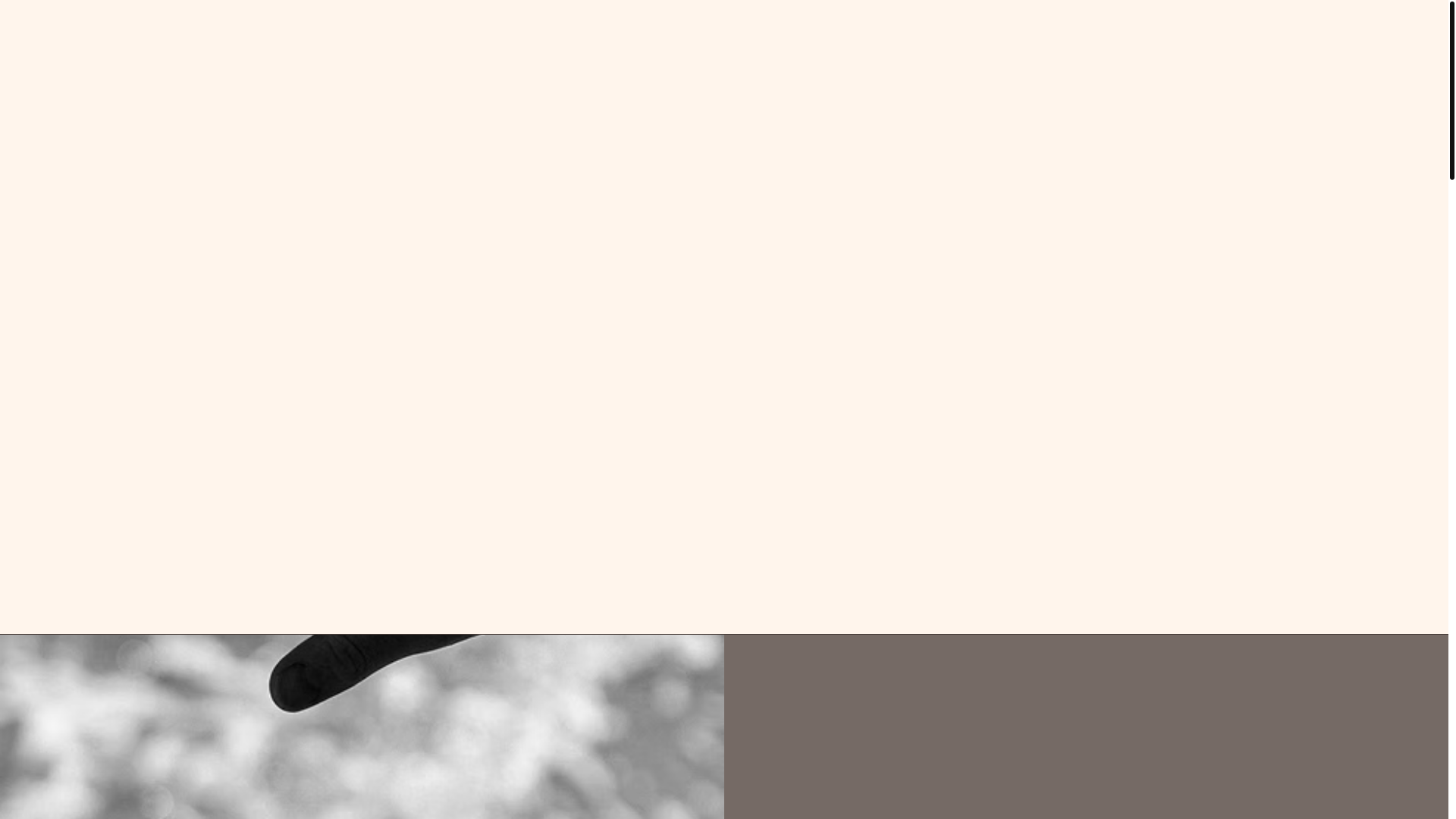 website screenshot of https://tallulahandteddy.com/