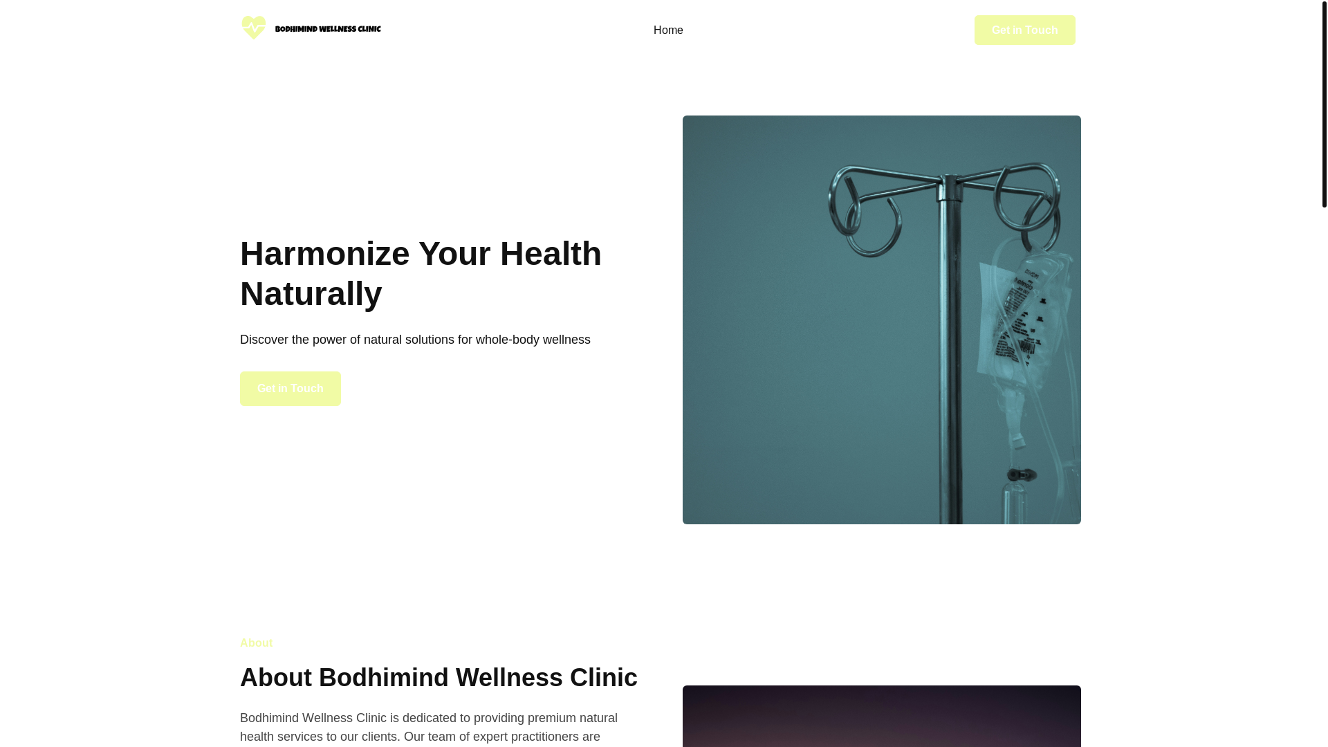 website screenshot of https://bodhimindwellness.com.au/