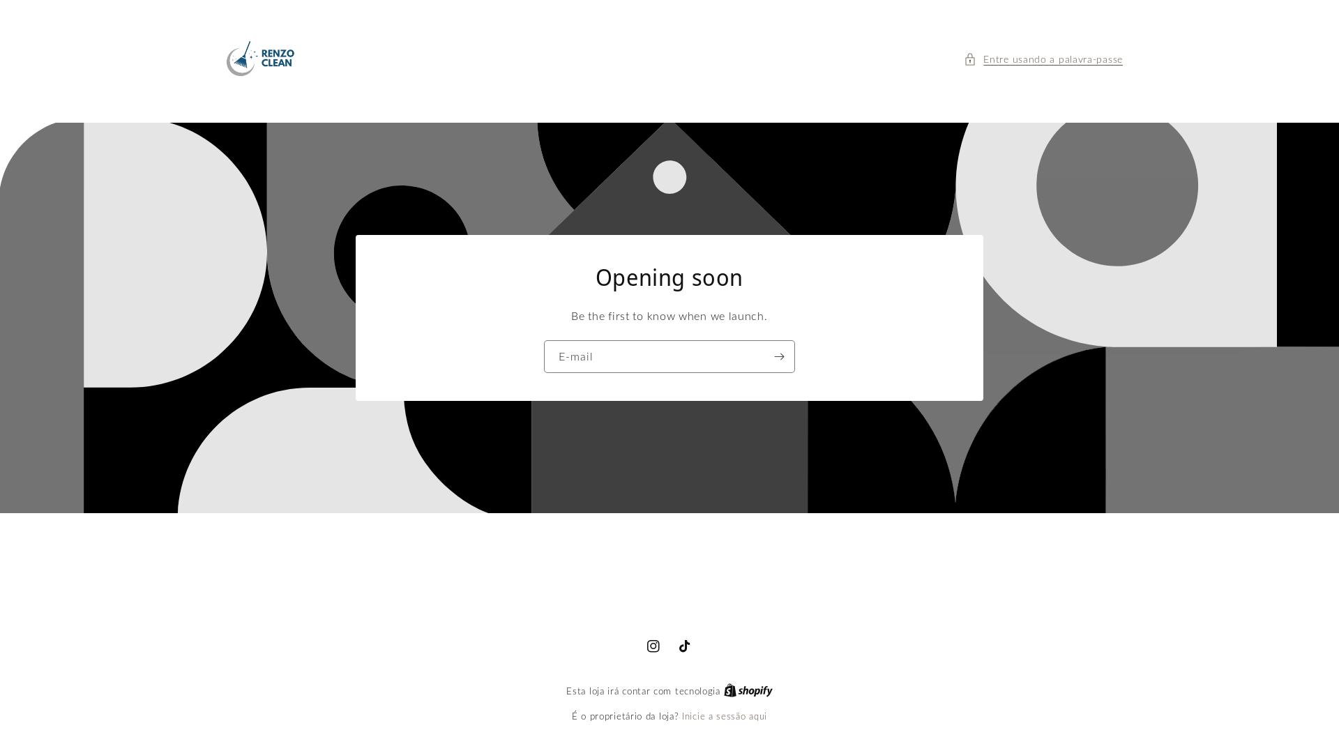 website screenshot of https://renzoclean.com/