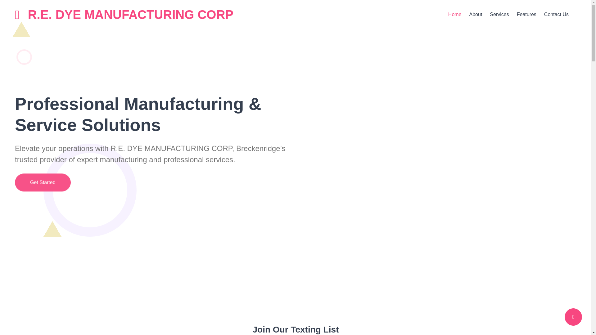 website screenshot of https://dyemanufacturing-ddi.pages.dev/