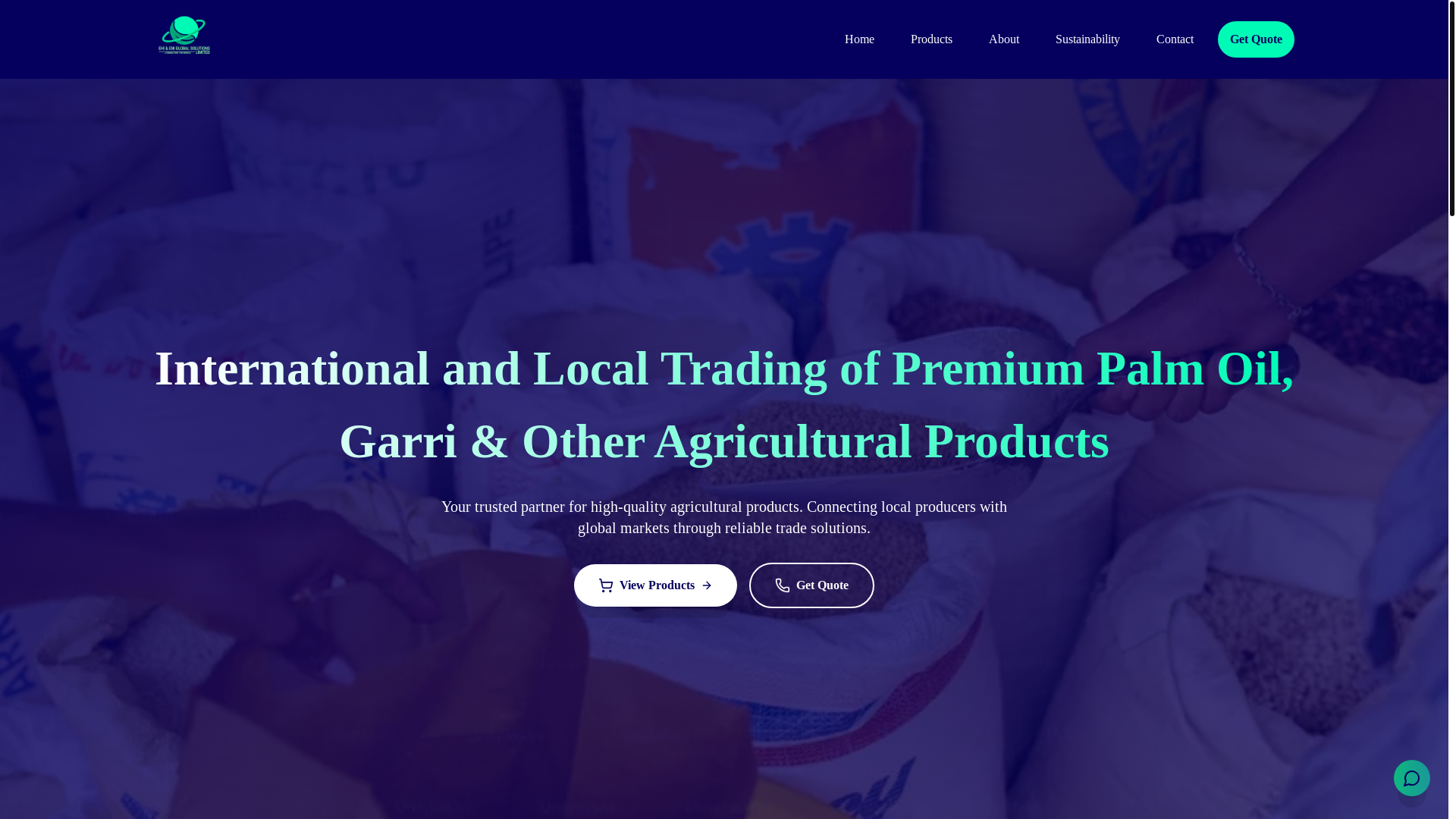 website screenshot of https://ehieniglobalsolutions.com/