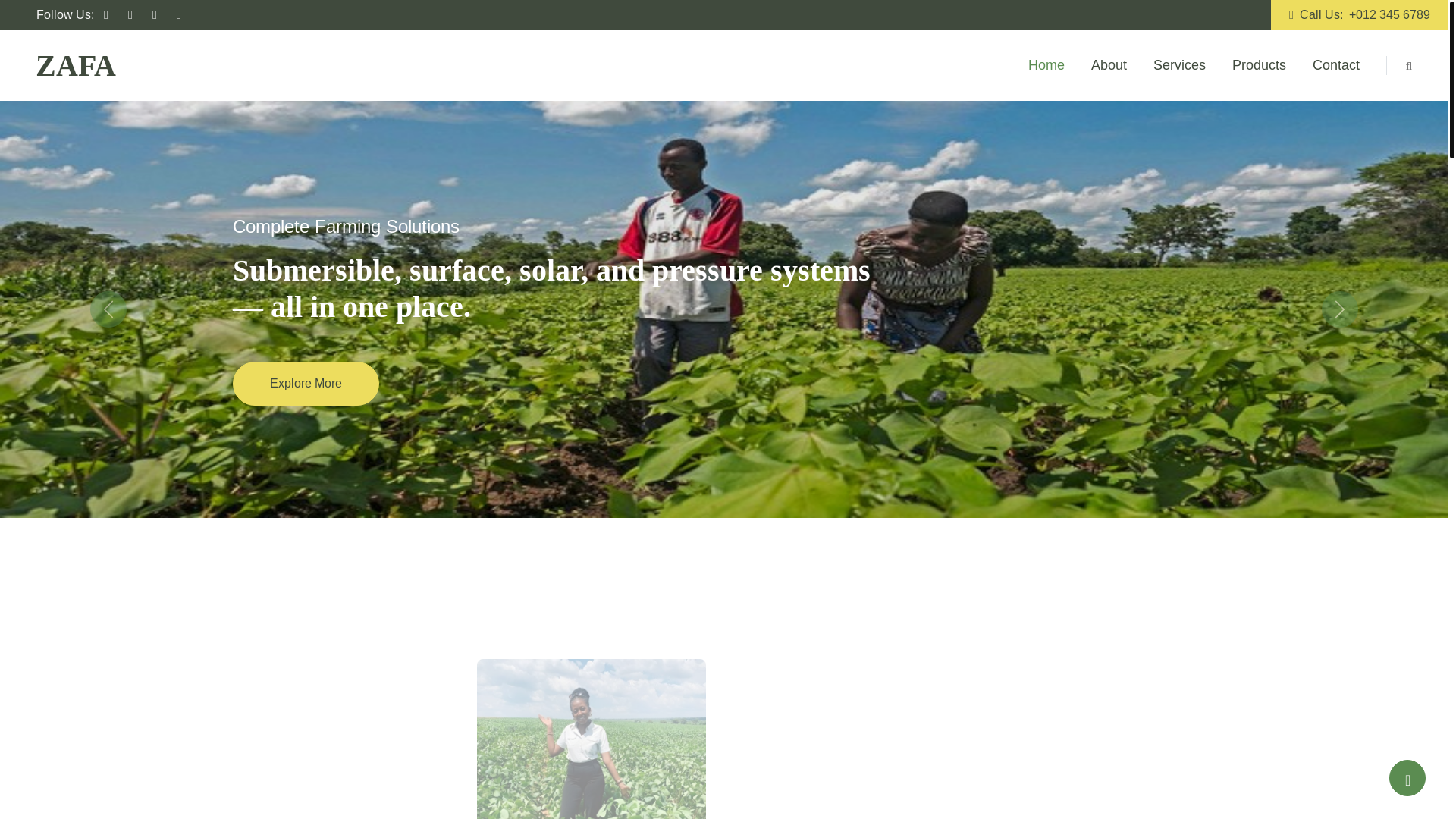 website screenshot of https://zambiaagrofarmersassociation.com/