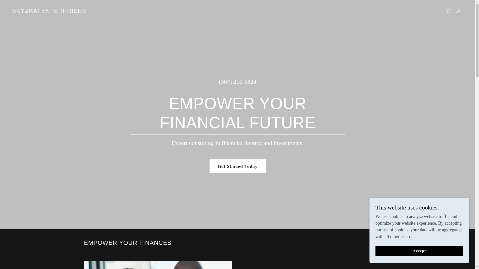 website screenshot of https://skykaienterprises.com/