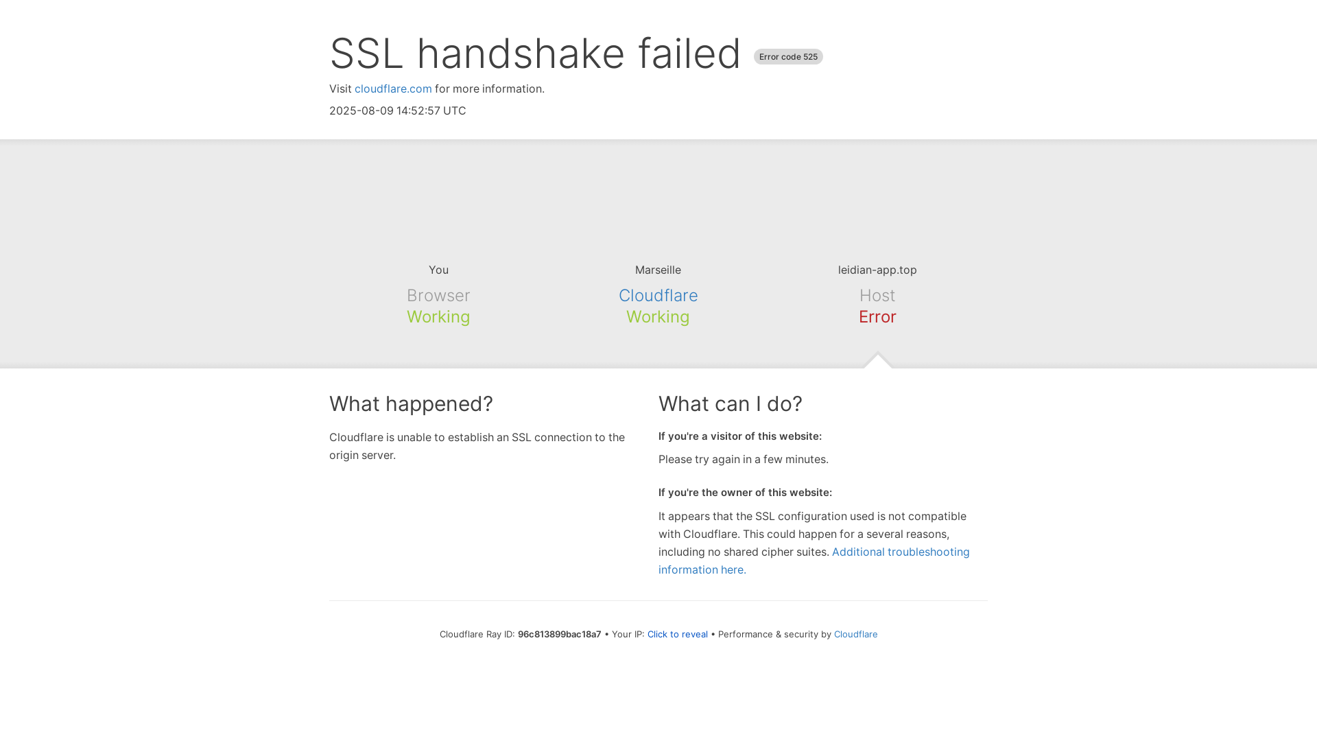 website screenshot of https://leidian.pages.dev/