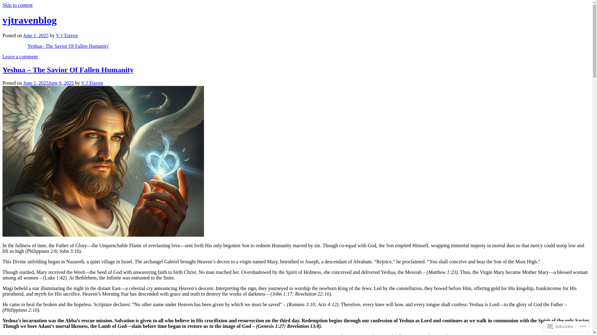 website screenshot of https://vjtravenblog.com/