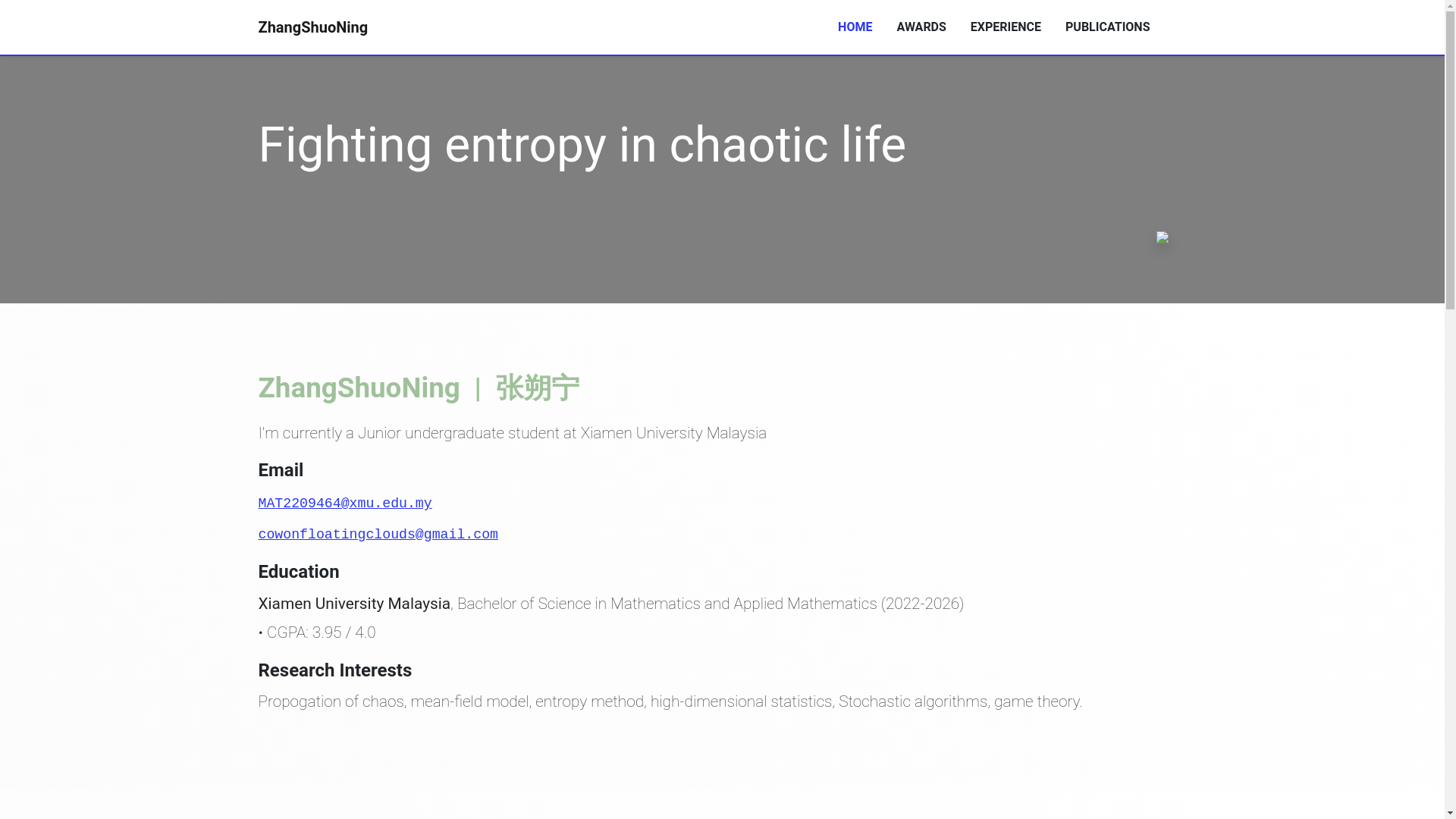 website screenshot of https://floating-cowboy.github.io/