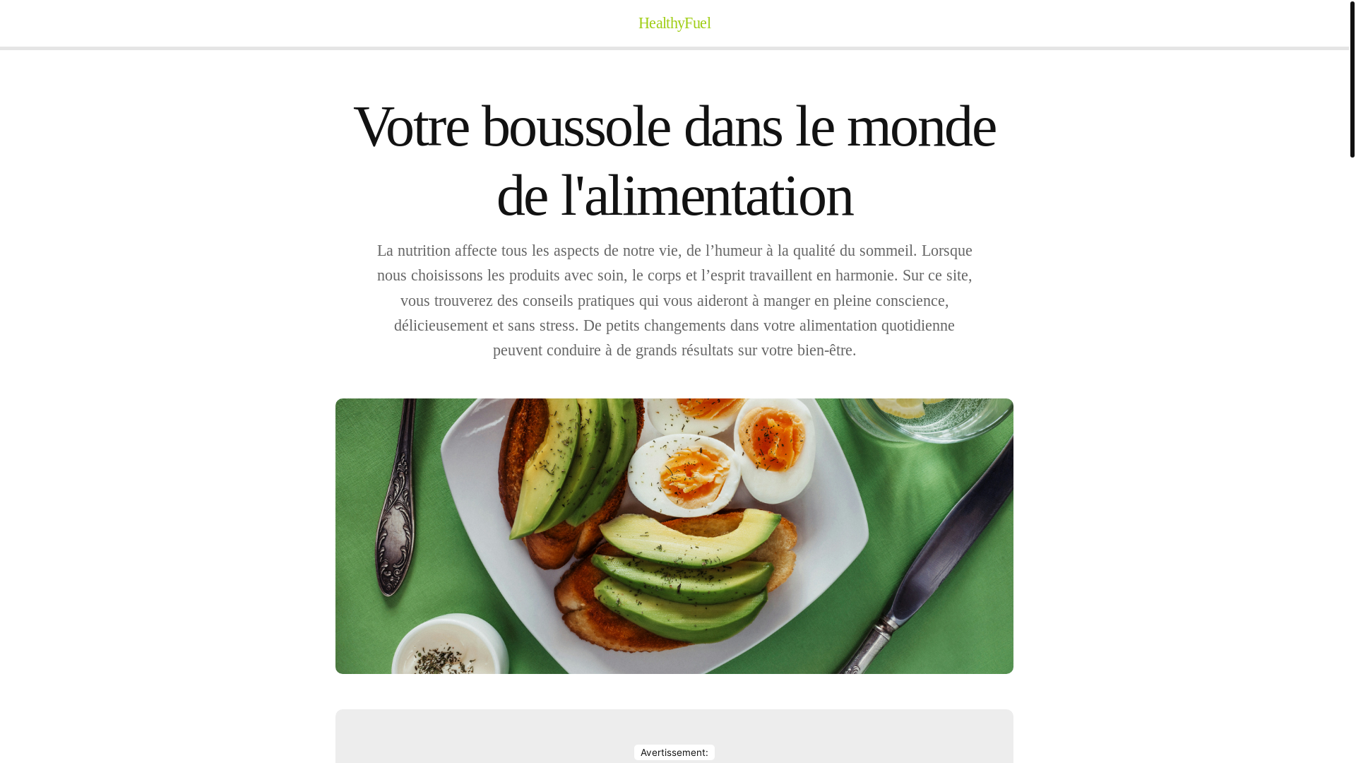 website screenshot of https://healthyfuelhub.info/