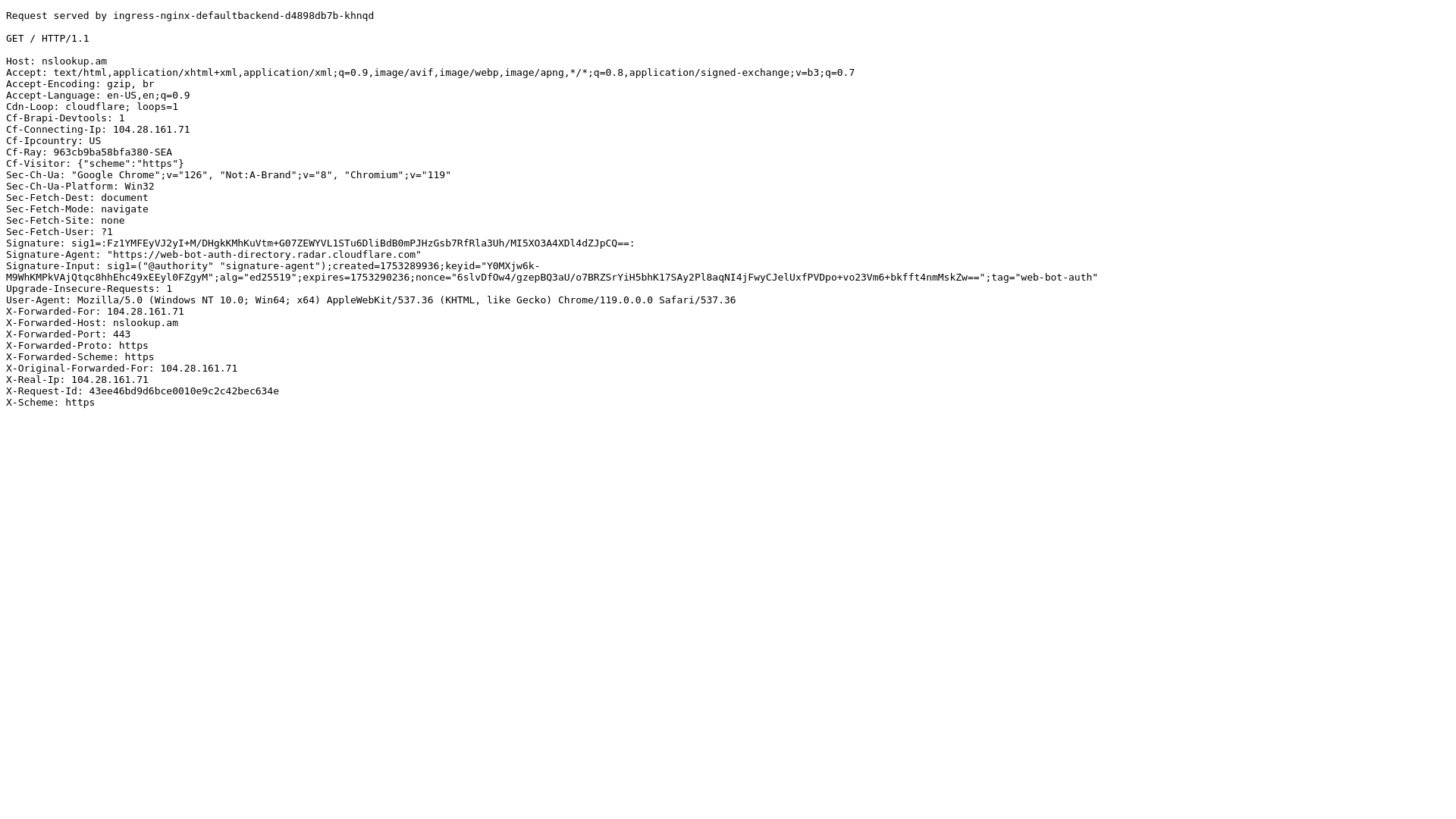 website screenshot of https://nslookup.am/