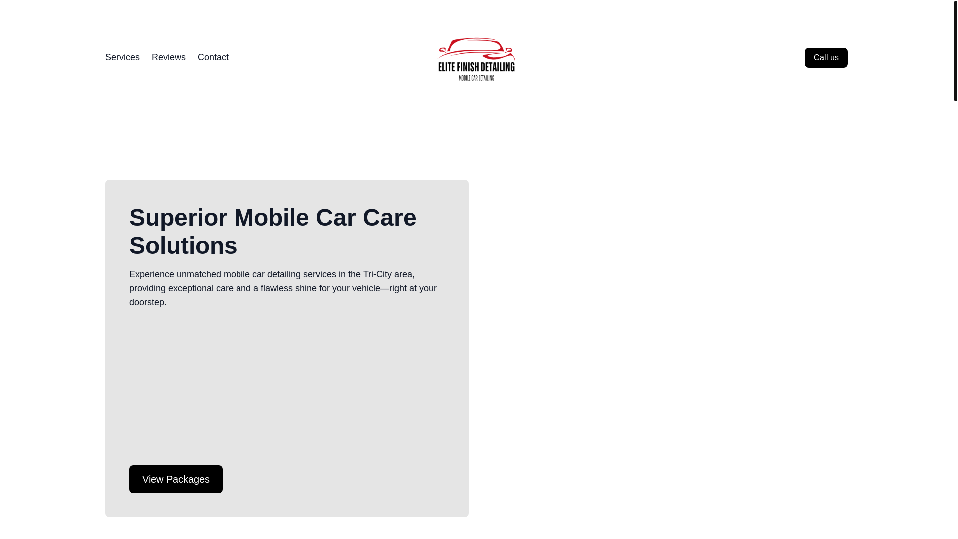 website screenshot of https://elitefinishcars.com/