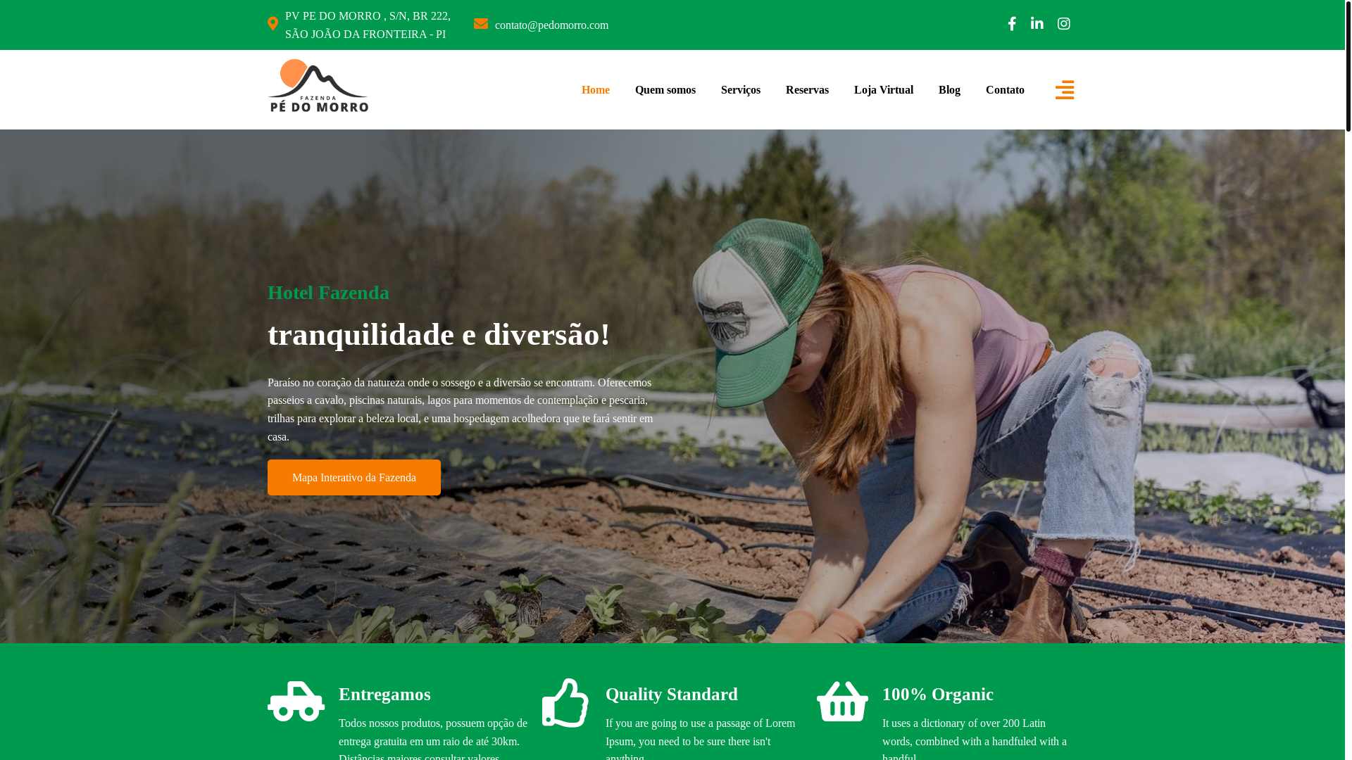 website screenshot of https://hotelpedomorro.com.br/