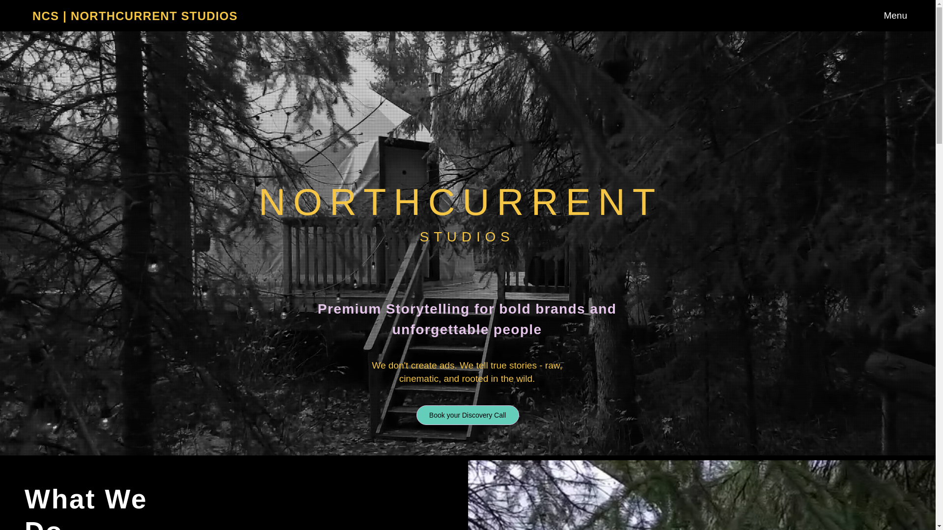 website screenshot of https://northcurrentstudios.com/