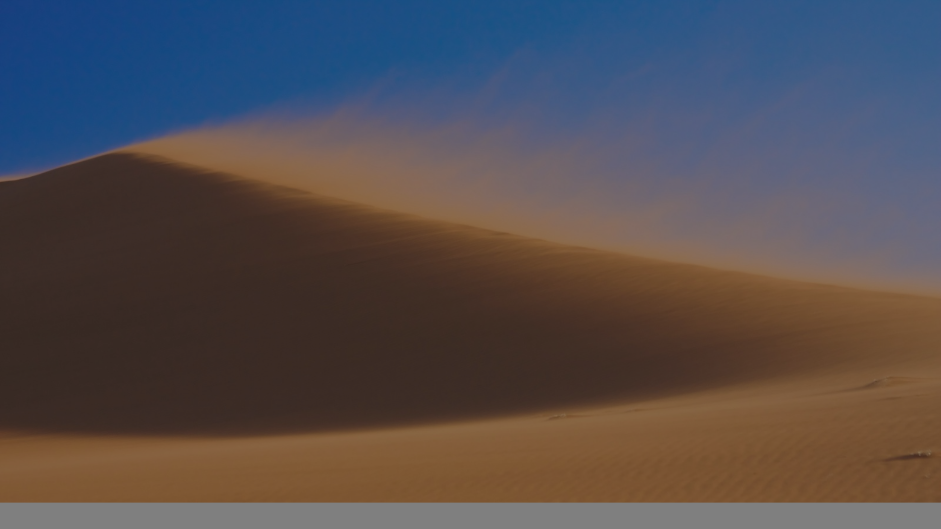 website screenshot of https://beachoneri.com/
