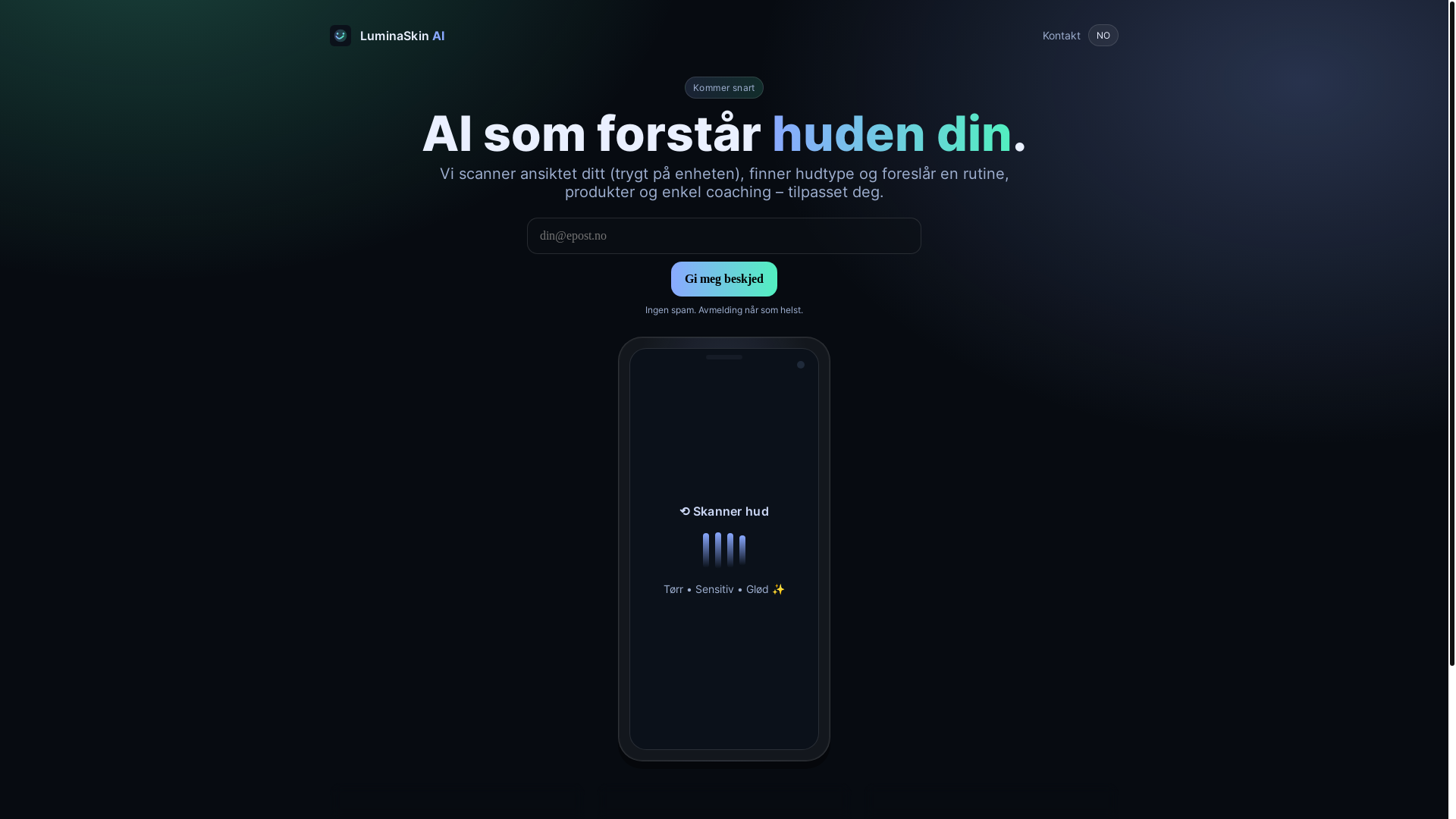website screenshot of https://luminaskinai.no/