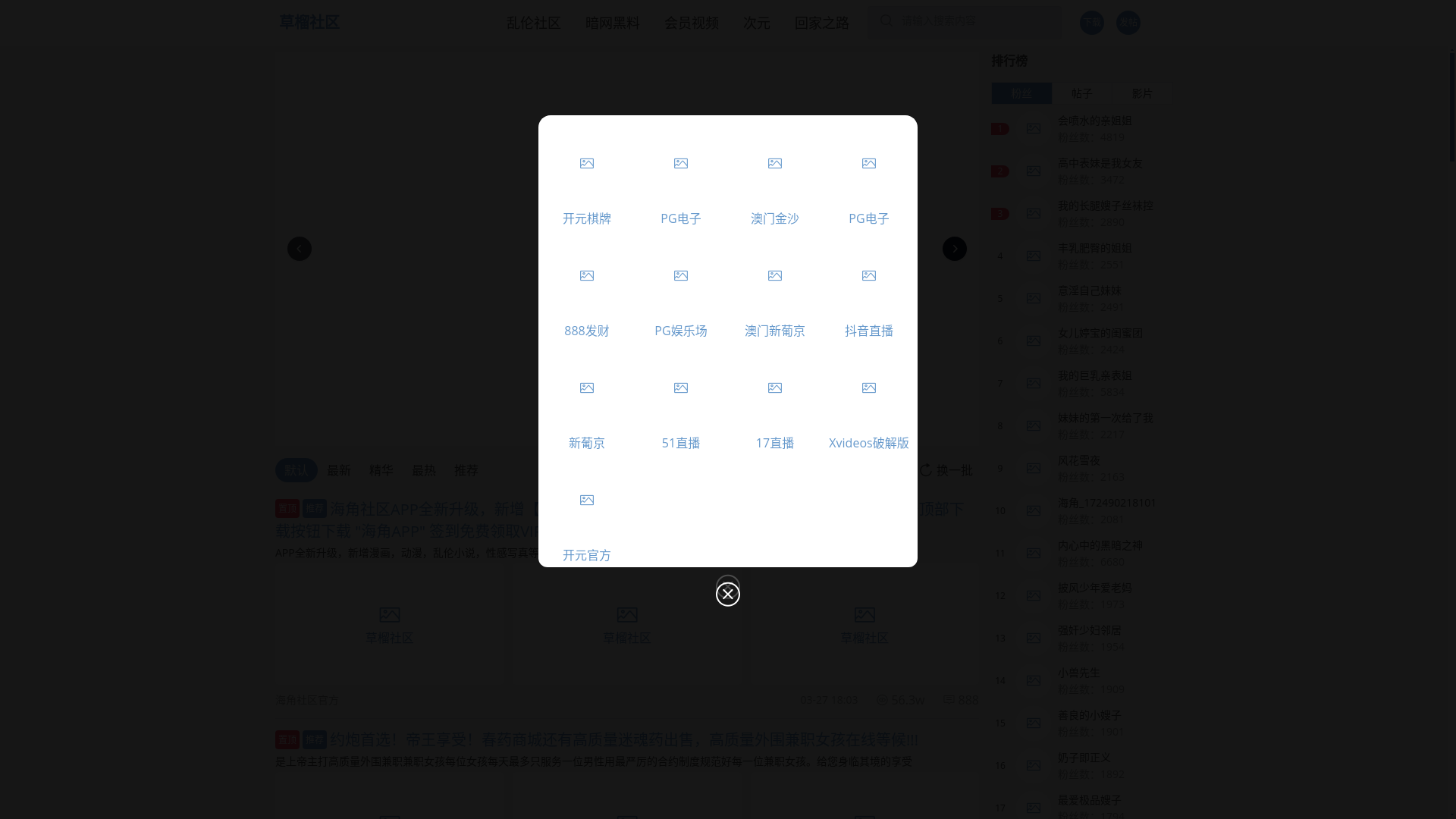 website screenshot of https://meirichiguatt.cc/