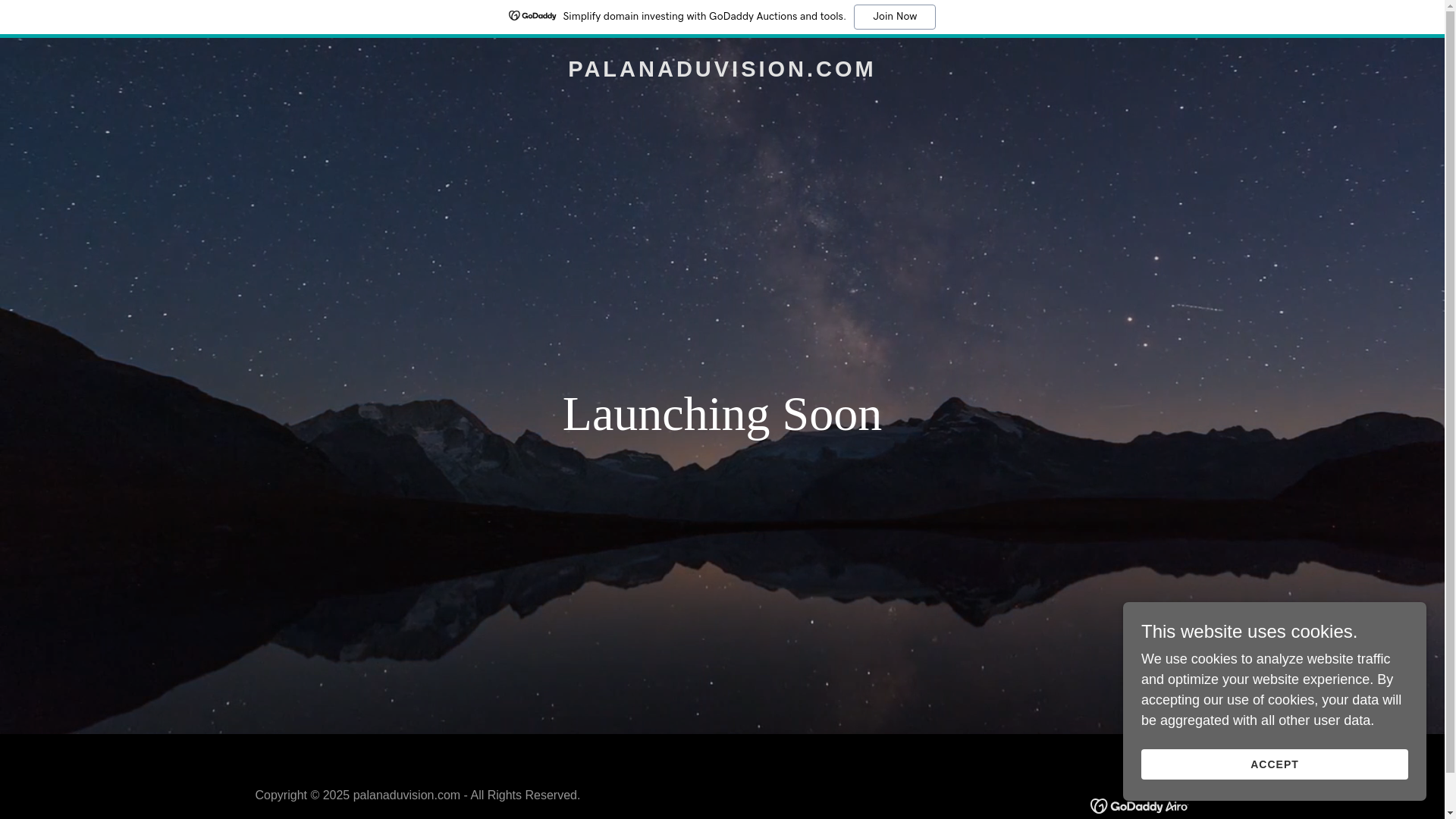 website screenshot of https://palanaduvision.com/