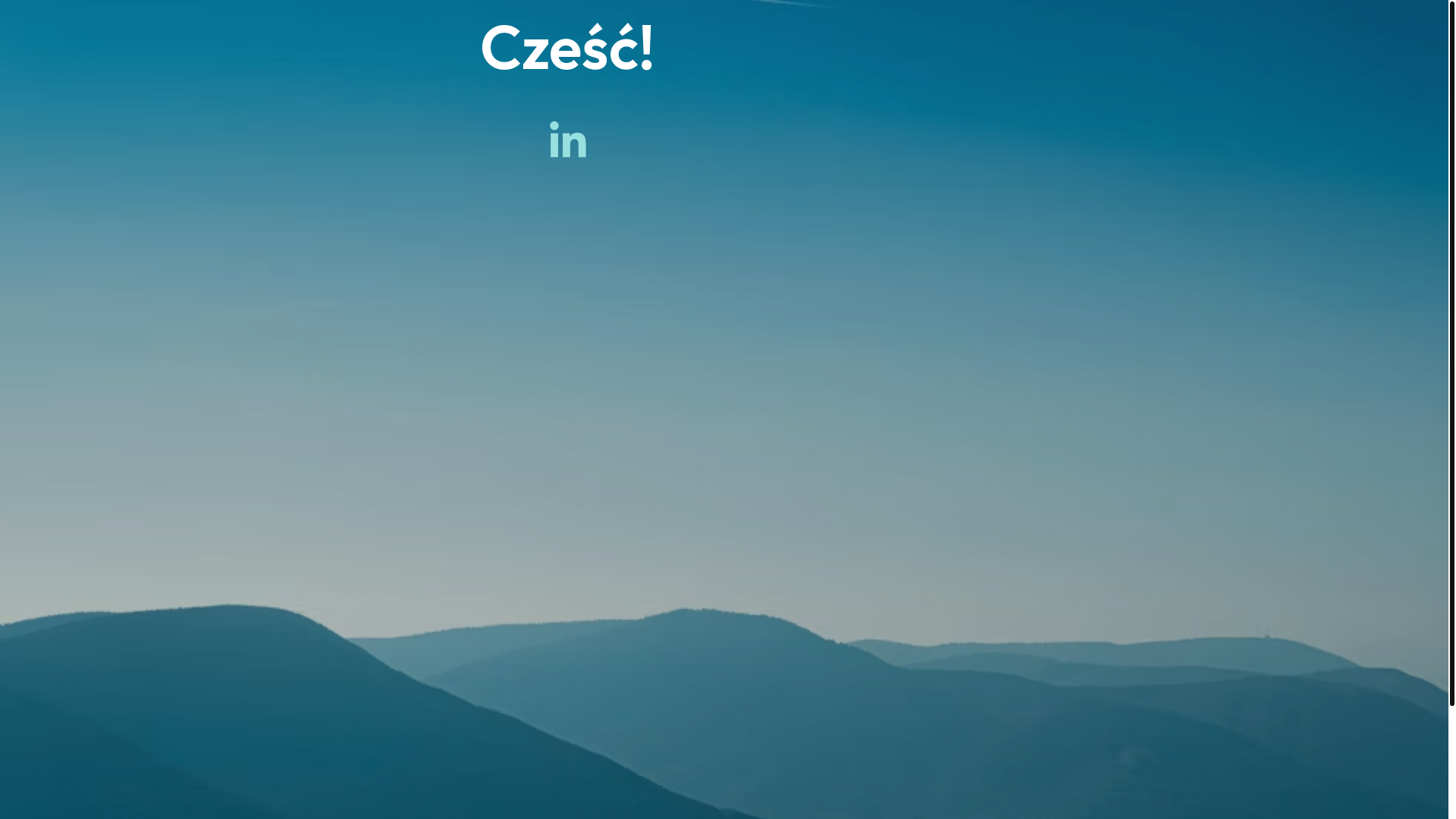 website screenshot of https://michalmiszczak.pl/