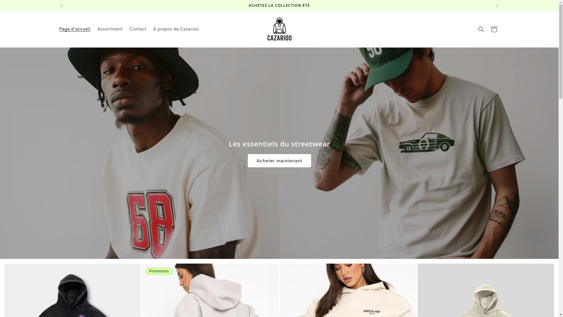 website screenshot of https://cazarioo.com/