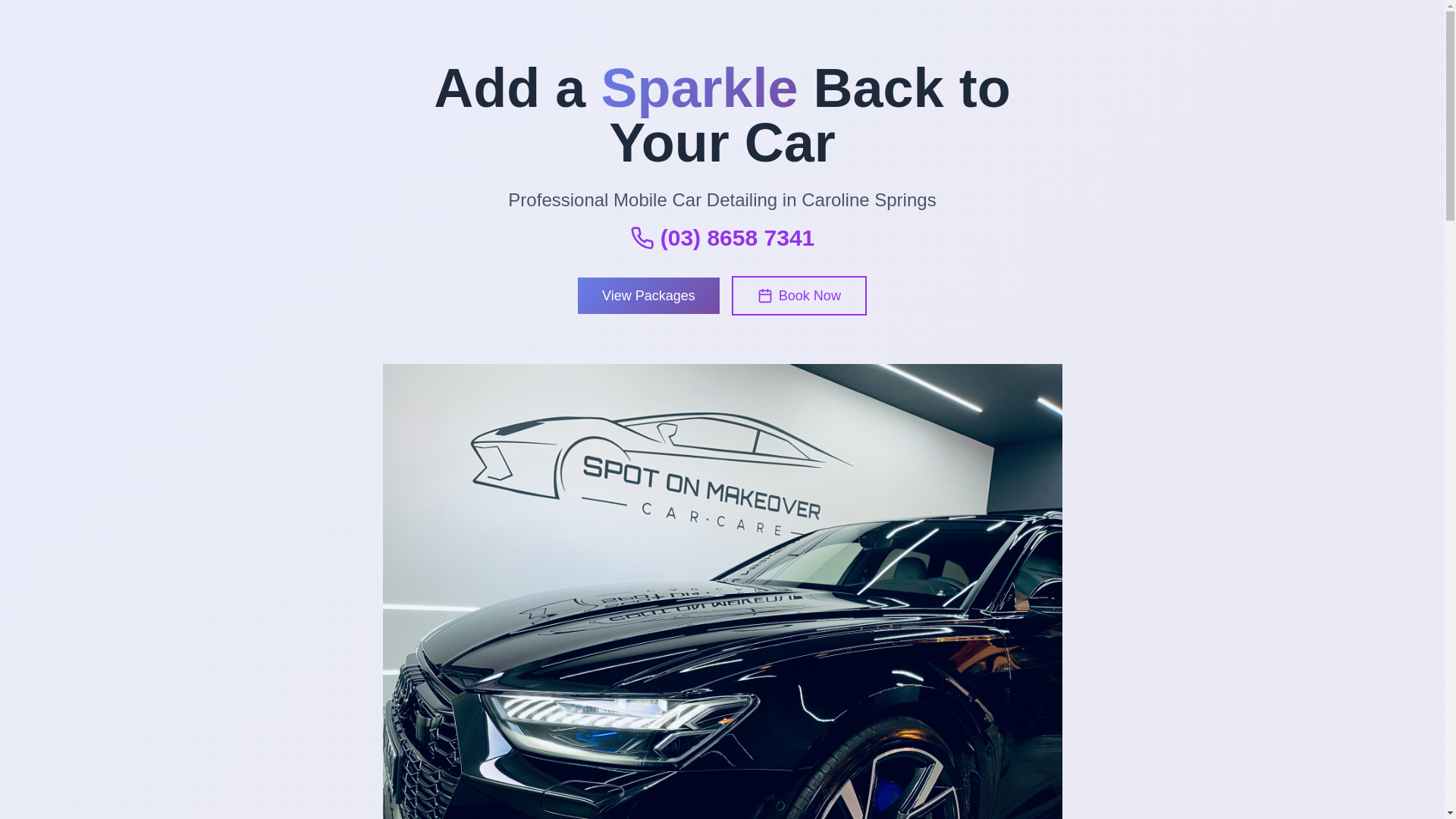 website screenshot of https://sparklemobiledetailing.store/
