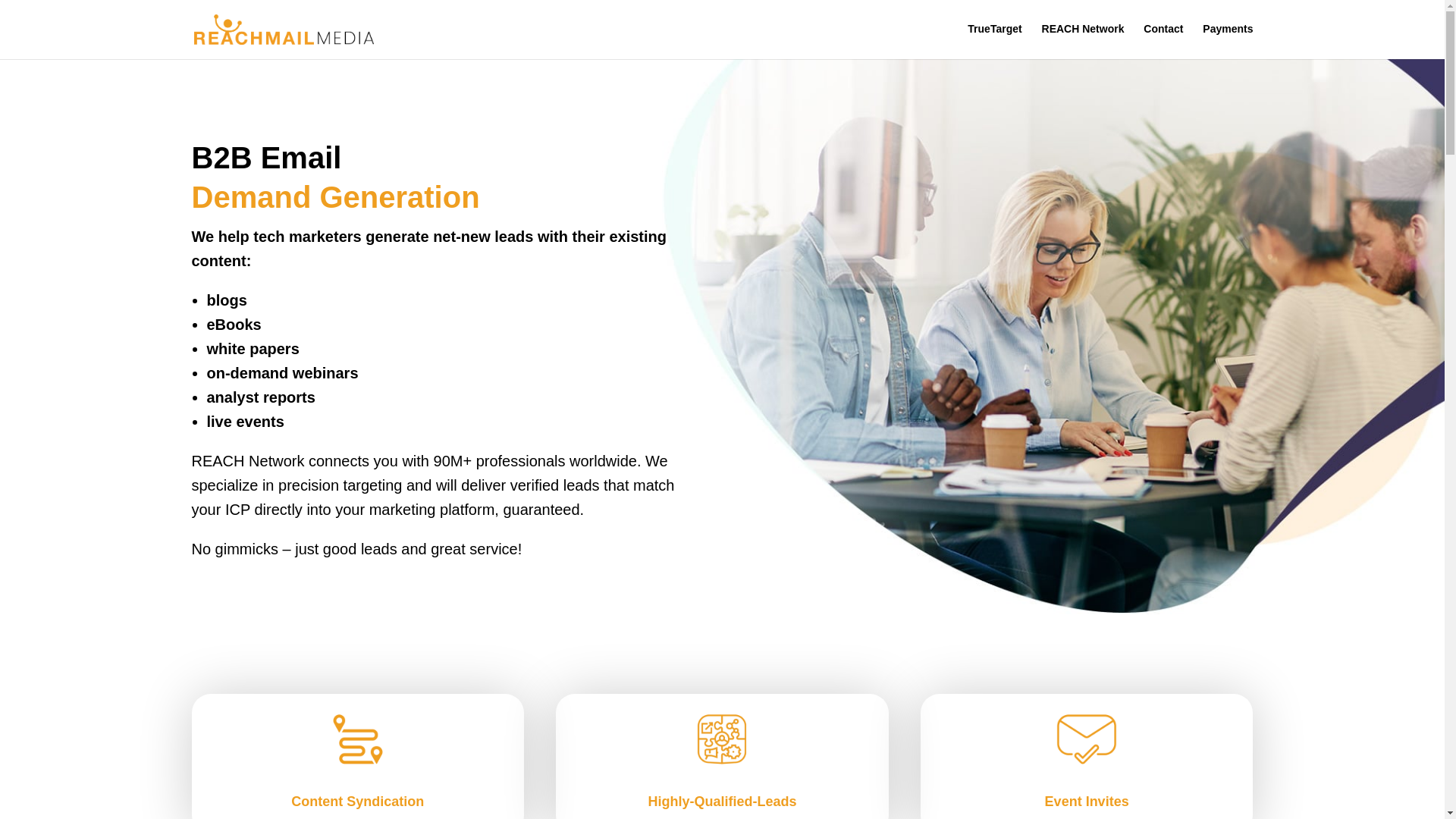 website screenshot of http://reachmailmedia.com/