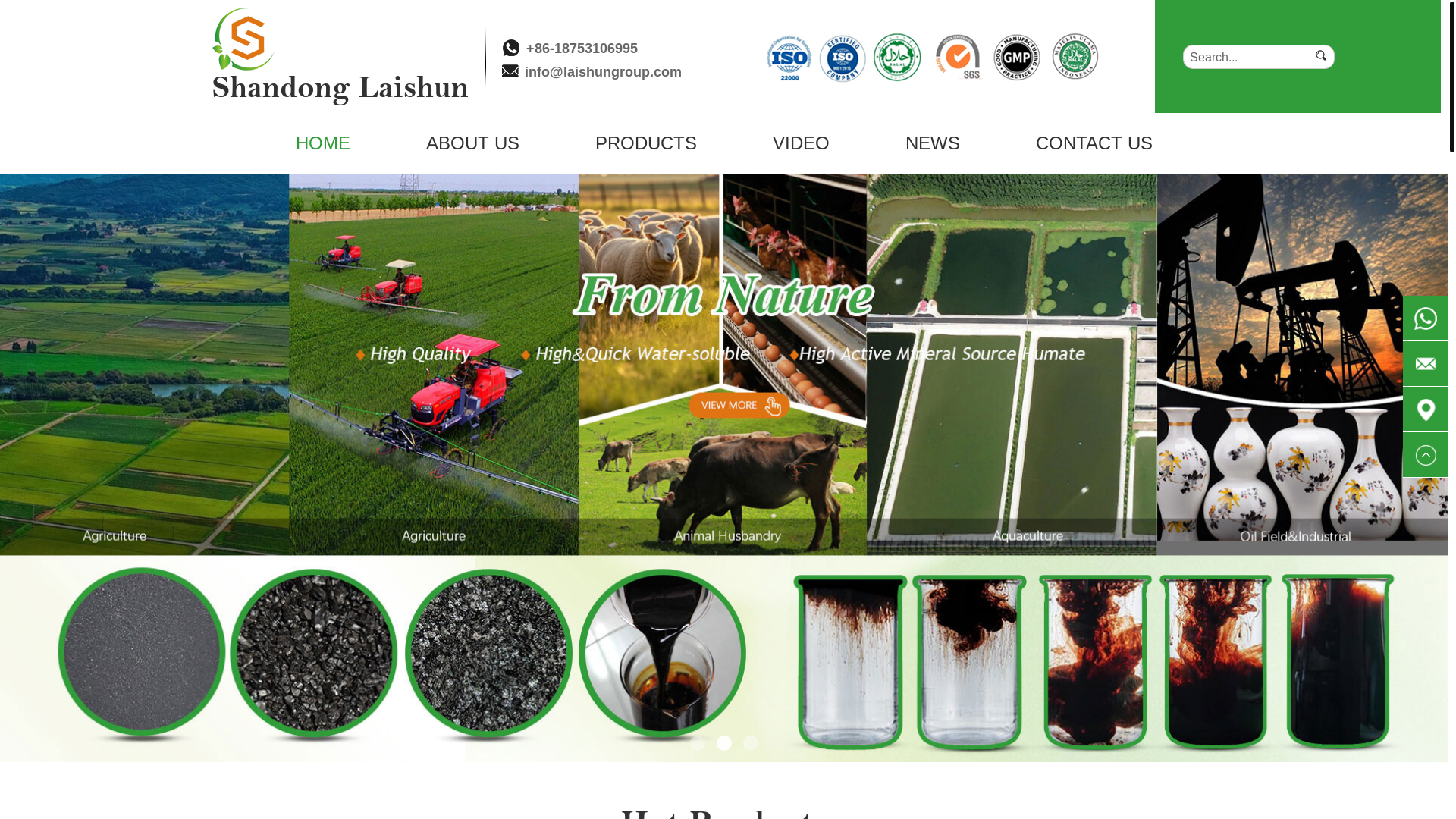 website screenshot of https://lyshinebio.com/